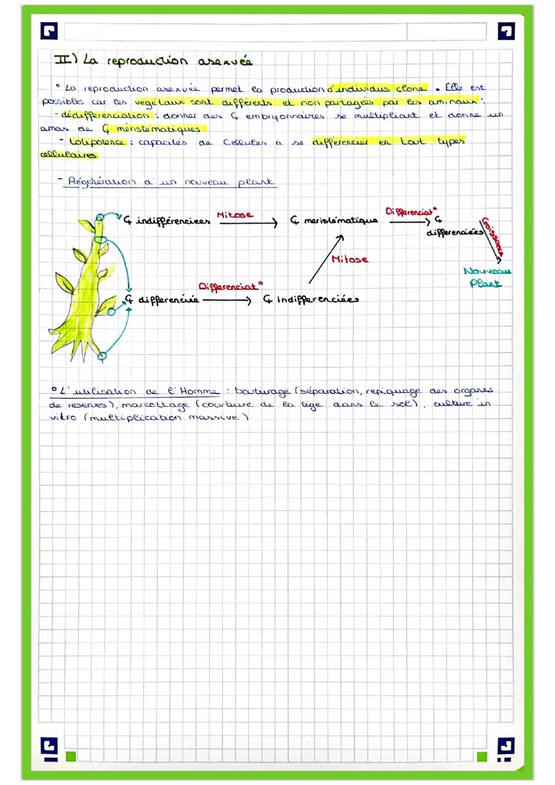 # Chapitre 3: La reproduction des Angiospermes
Chez Cas
ea
Angiospermes on retrouve 2 types de reproduction. ea
reproduction servee (= se