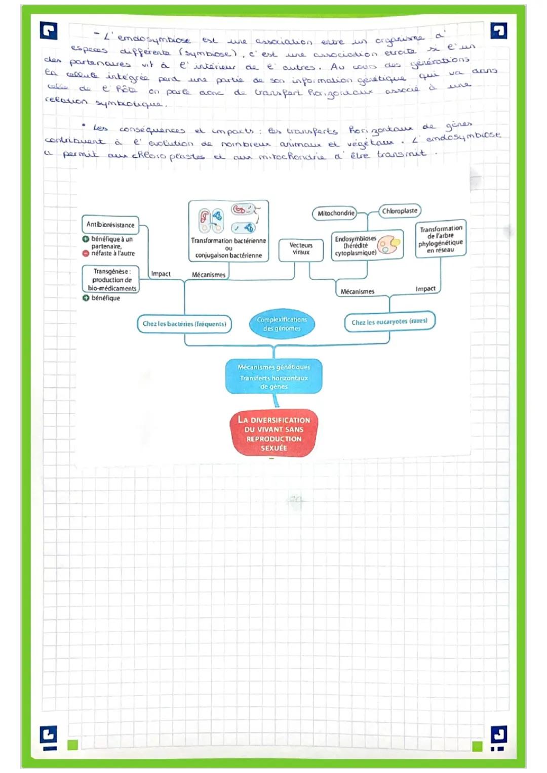 Chapitre 8: La complexification du génoma
I) Transferts de gères horizontour
La molécute a ADN est le support
Cinformation gérétique. C'es