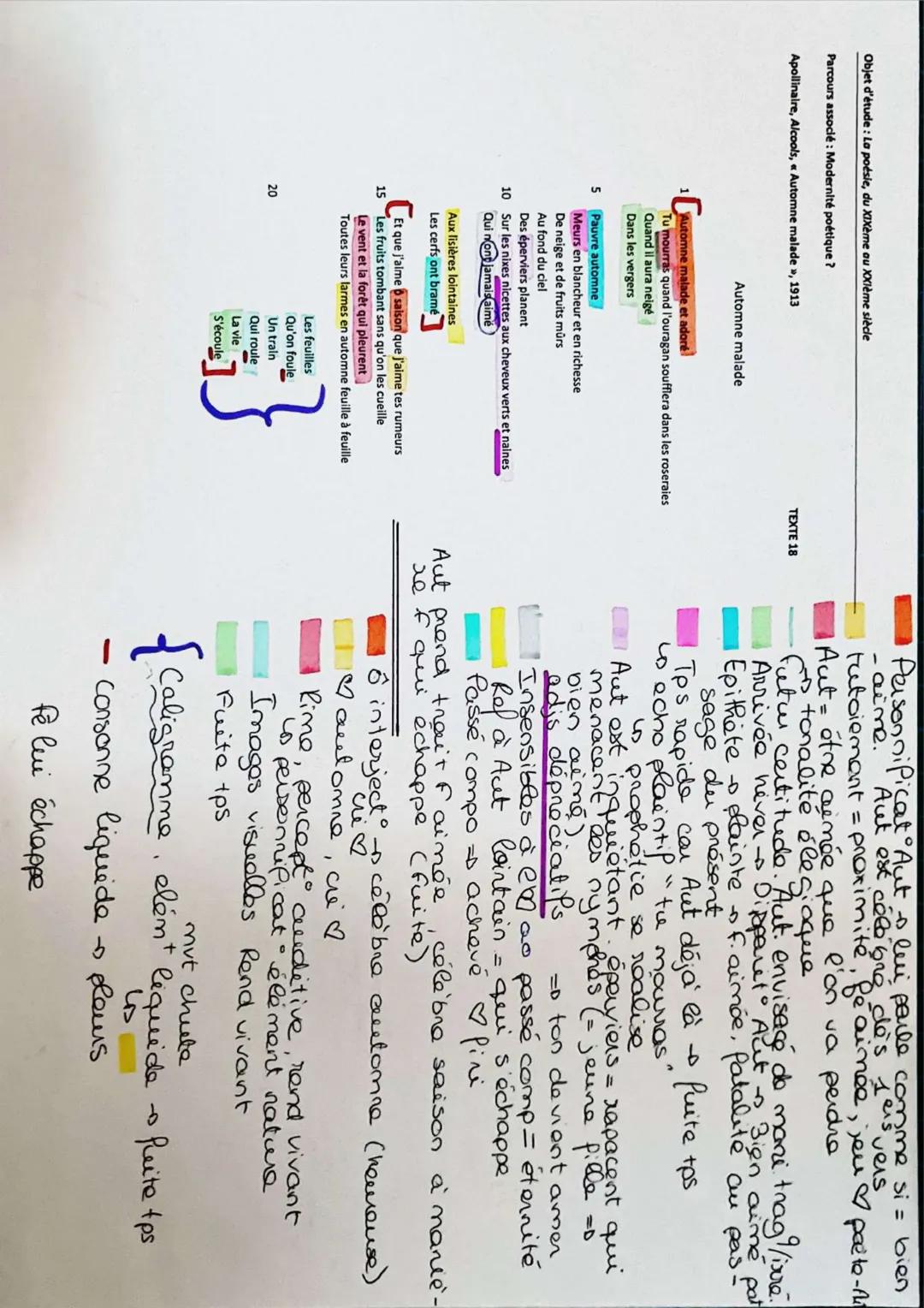 Objet d'étude: La poésie, du XIXème au XXIème siècle
Parcours associé: Modernité poétique ?
Apollinaire, Alcools, « Automne malade», 1913