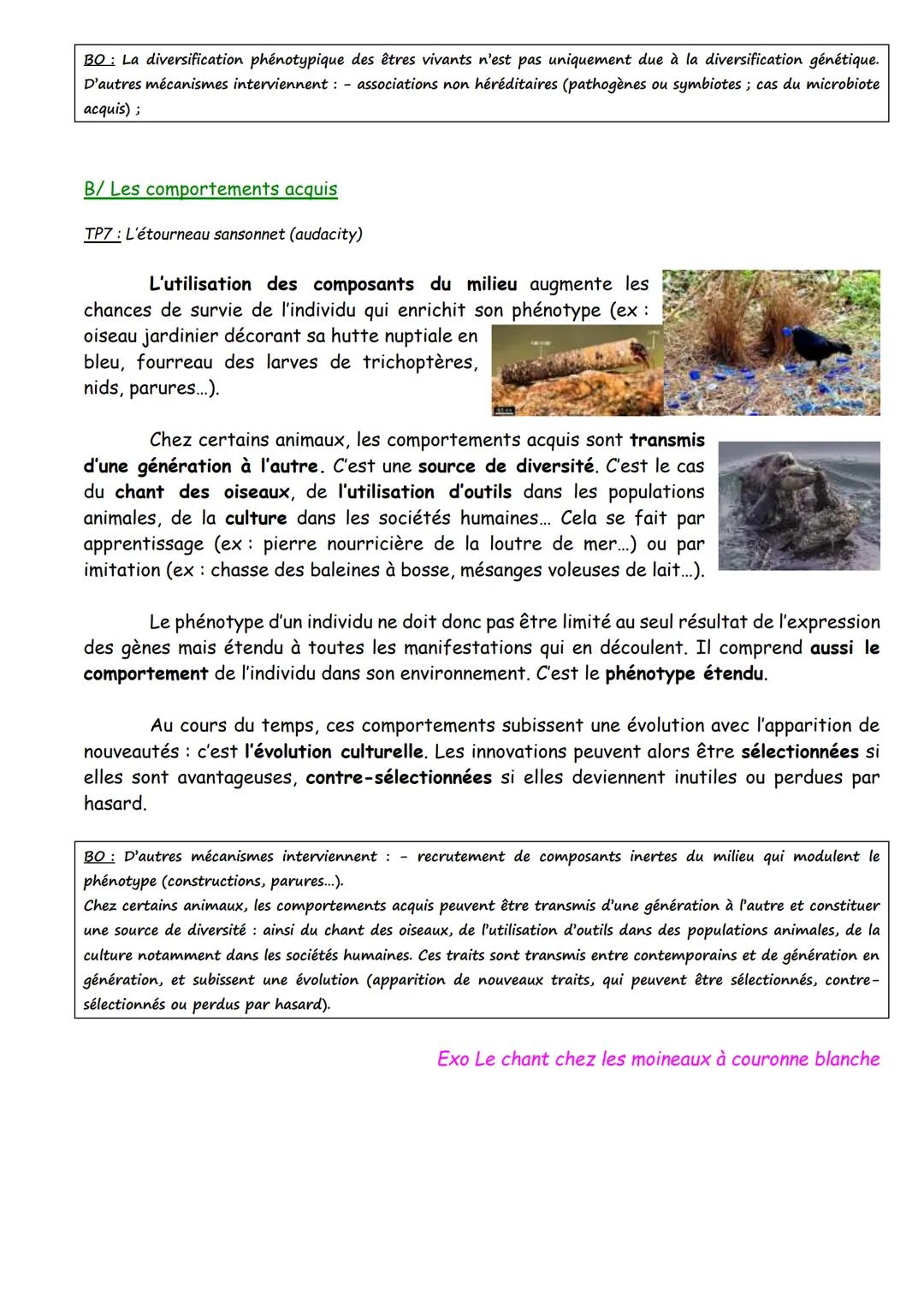 THEME 1-LA TERRE, LA VIE ET L'ORGANISATION DU VIVANT
Génétique et évolution
Spécialité SVT term
CHAPITRE 2 - LA DIVERSIFICATION DU VIVANT
Le