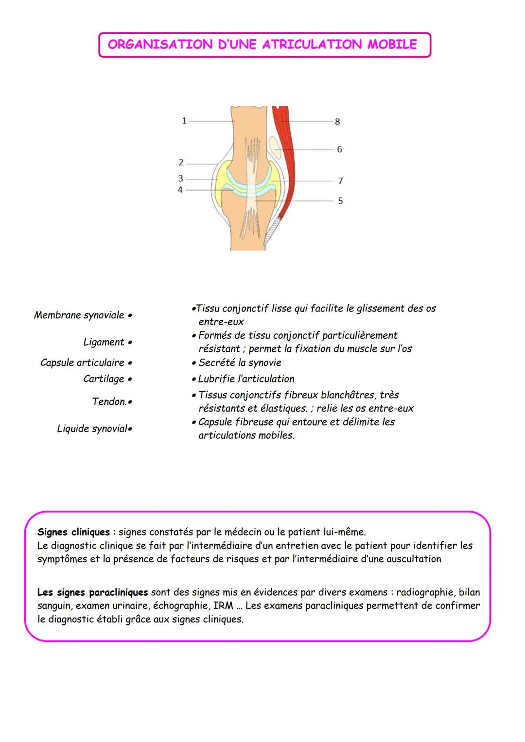 THEME 2: APPAREIL LOCOMOTEUR ET MOTRICITE
CHAPITRE 3: ORGANISATION ET EXPLORATION DU SQUELETTE
OBJECTIFS
➤ Identifier les principaux élém