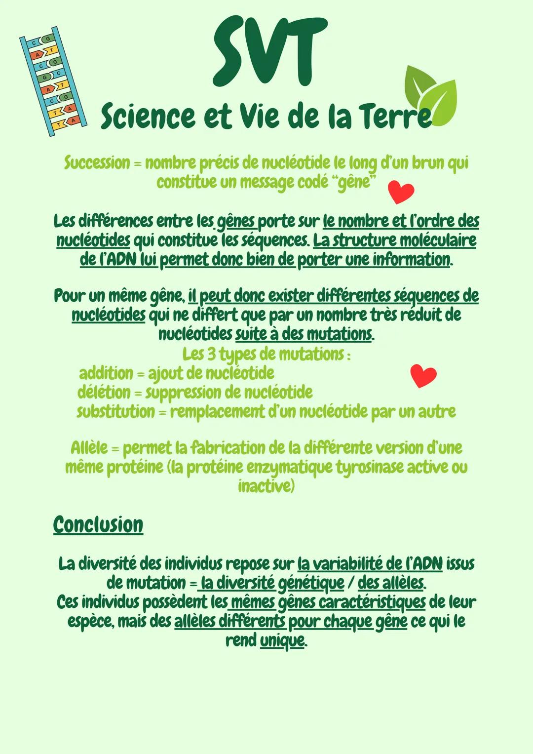 # SVT
Science et Vie de la Terre
# L'ADN
L'information génétique des cellules est contenu dans les
chomosomes, plus précicement dans la mo