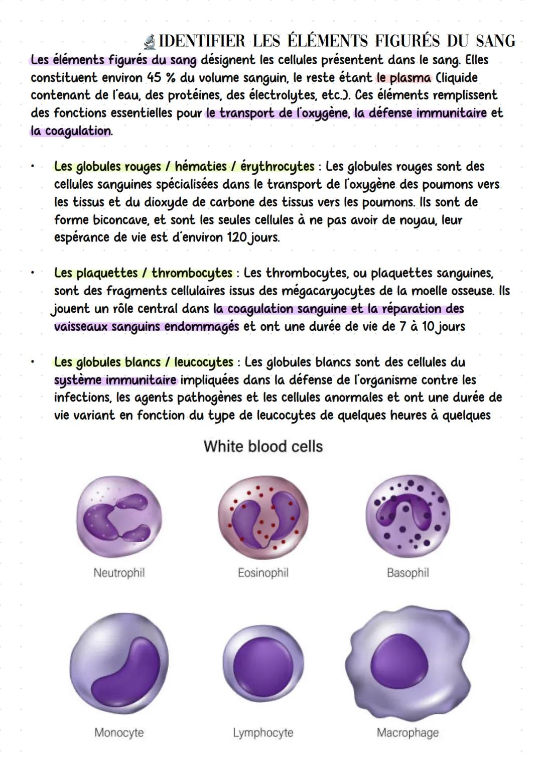 # organes et cellules de l'immunite
LOCALISER LES ORGANES LYMPHOÏDES PRIMAIRES ET
SECONDAIRES
Les organes lymphoïdes sont des structures du
