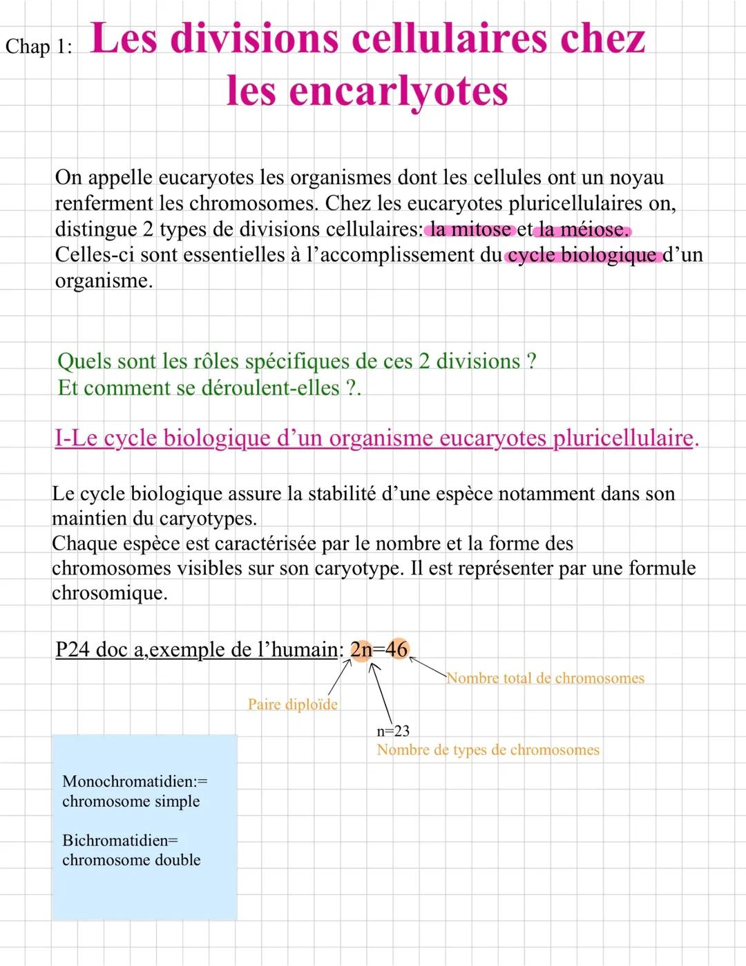 Les divisions cellulaires chez les eucaryotes