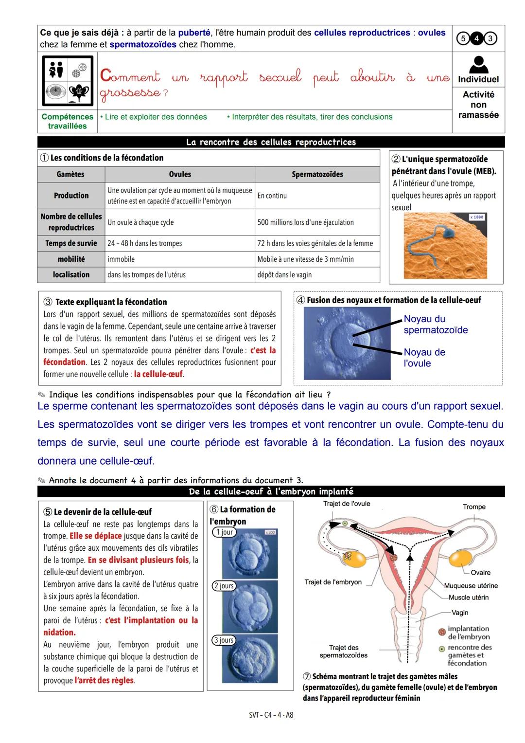 Ce que je sais déjà à partir de la puberté, l'être humain produit des cellules reproductrices ovules
chez la femme et spermatozoïdes chez l'