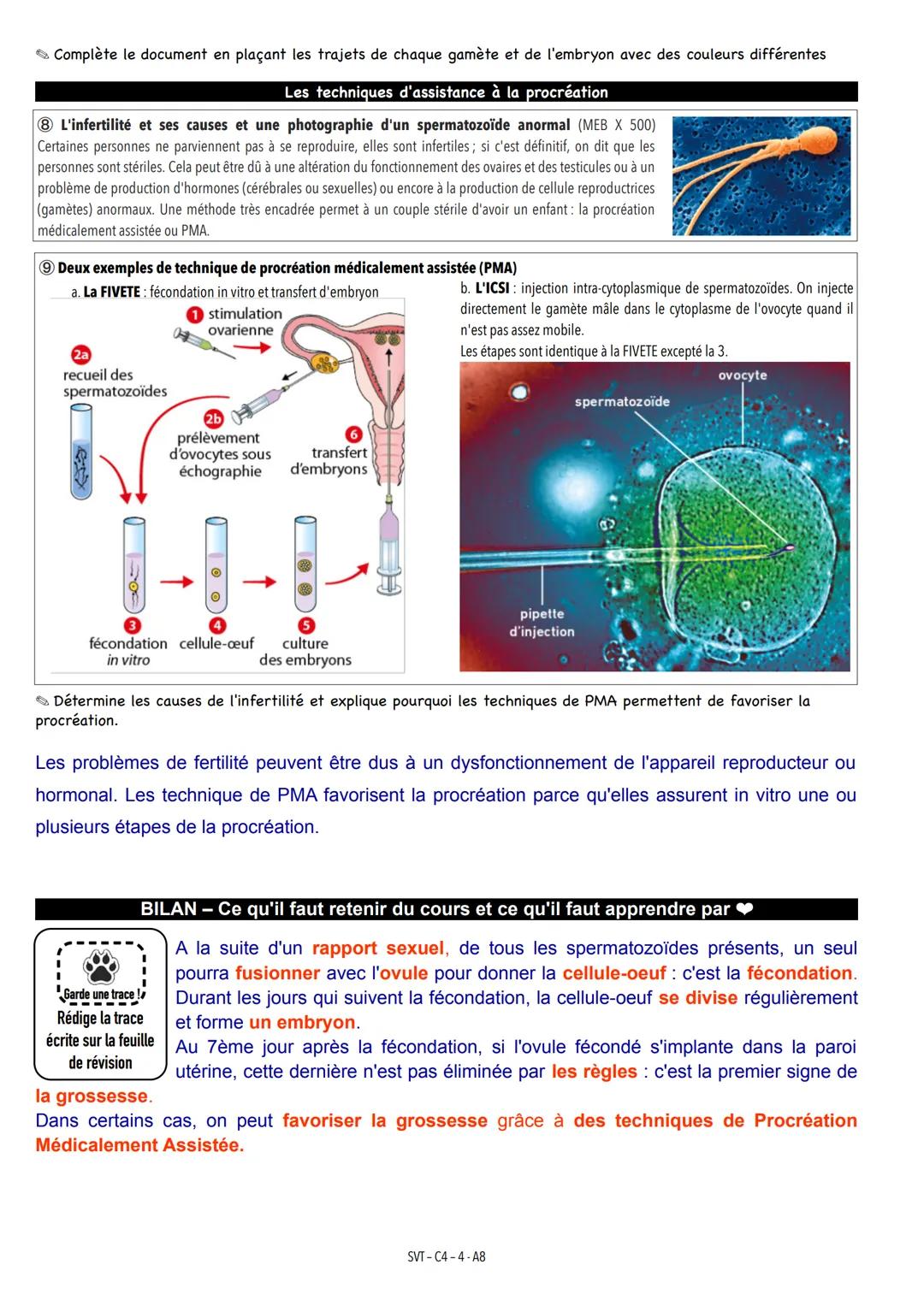 Ce que je sais déjà à partir de la puberté, l'être humain produit des cellules reproductrices ovules
chez la femme et spermatozoïdes chez l'