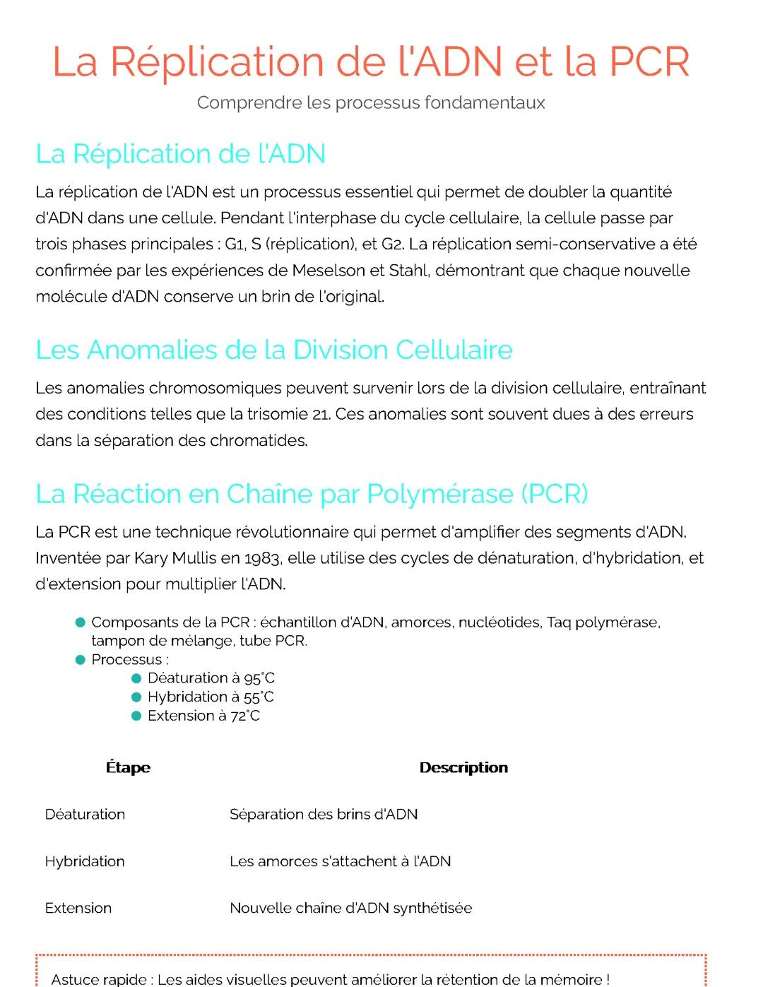 La Réplication de l'ADN et la PCR