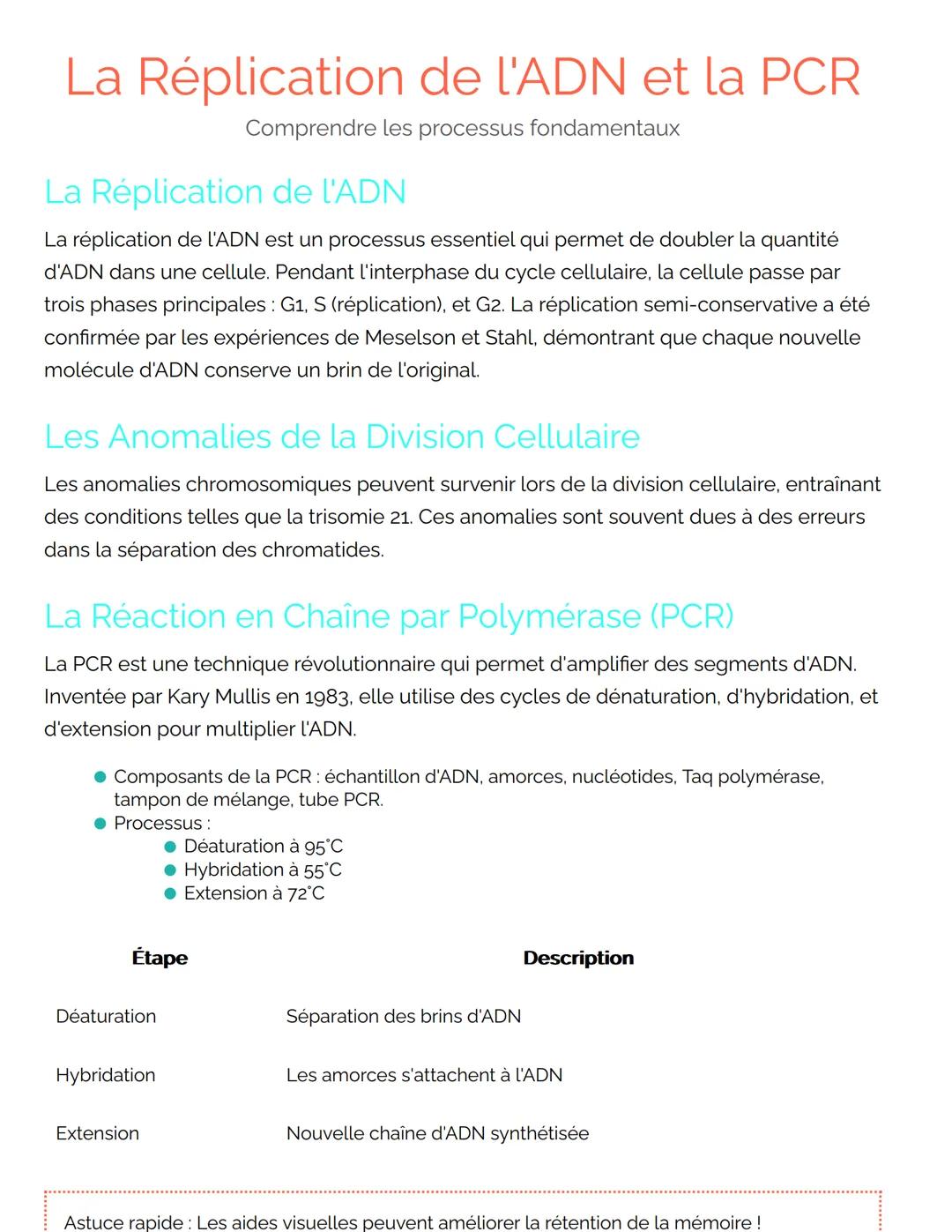 La Réplication de l'ADN et la PCR
Comprendre les processus fondamentaux
La Réplication de l'ADN
La réplication de l'ADN est un processus ess