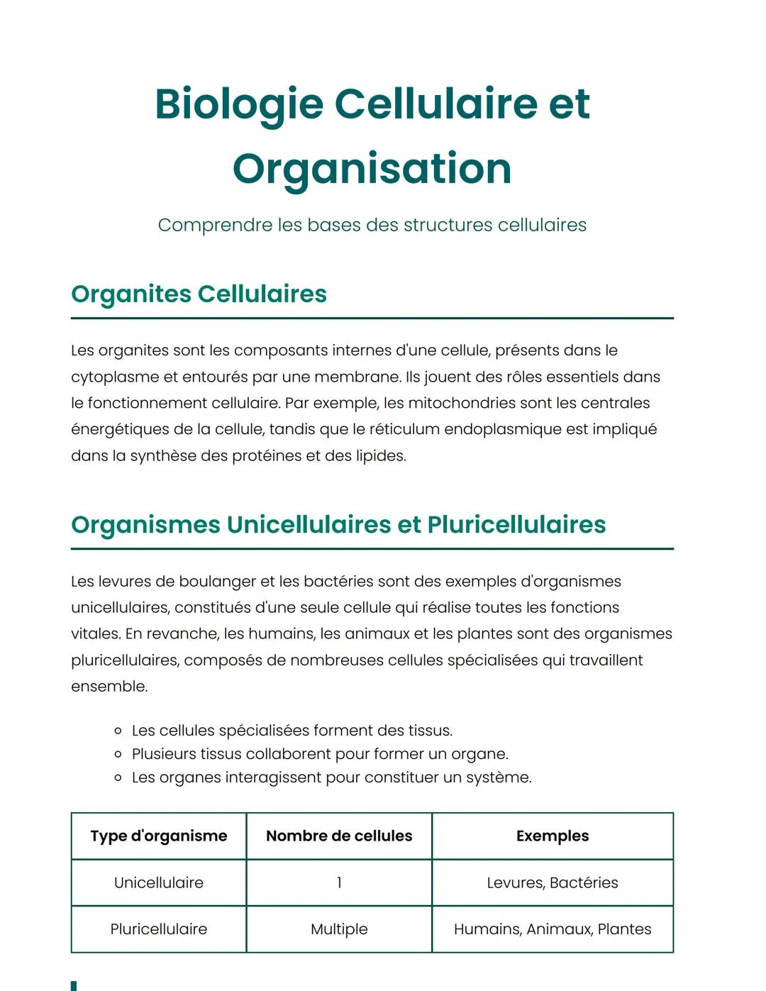 # Biologie Cellulaire et
# Organisation
Comprendre les bases des structures cellulaires
# Organites Cellulaires
Les organites sont les co