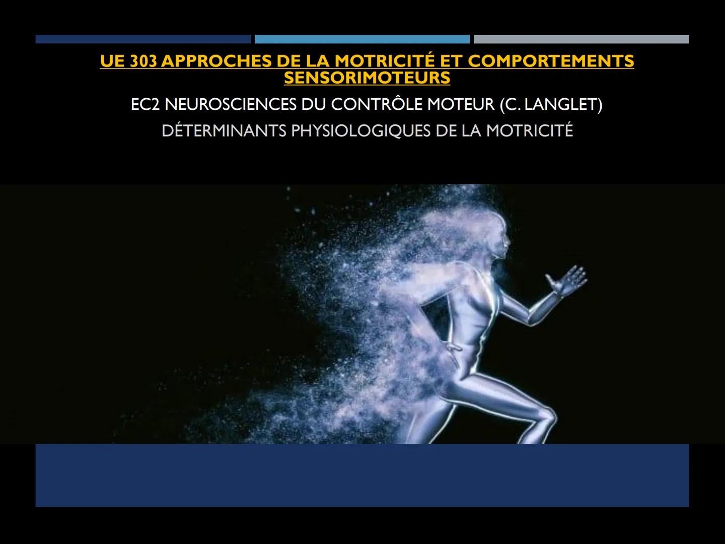 UE 303 APPROCHES DE LA MOTRICITÉ ET COMPORTEMENTS
SENSORIMOTEURS
EC2 NEUROSCIENCES DU CONTRÔLE MOTEUR (C. LANGLET)
DÉTERMINANTS PHYSIOLOGIQU