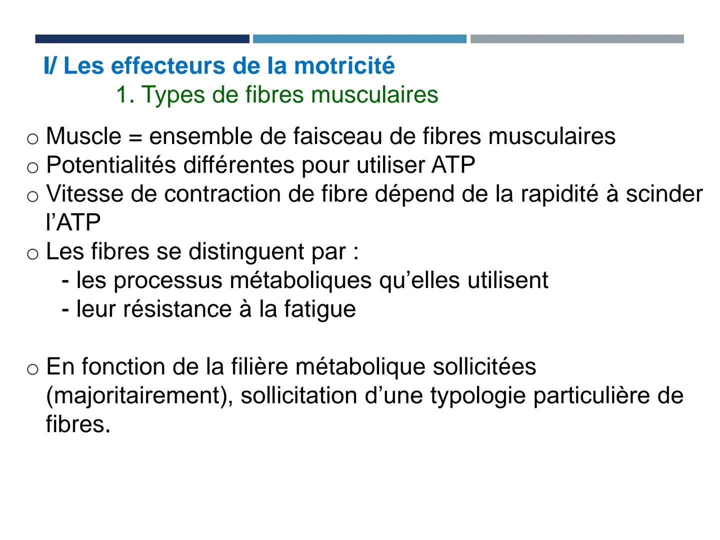 UE 303 APPROCHES DE LA MOTRICITÉ ET COMPORTEMENTS
SENSORIMOTEURS
EC2 NEUROSCIENCES DU CONTRÔLE MOTEUR (C. LANGLET)
DÉTERMINANTS PHYSIOLOGIQU