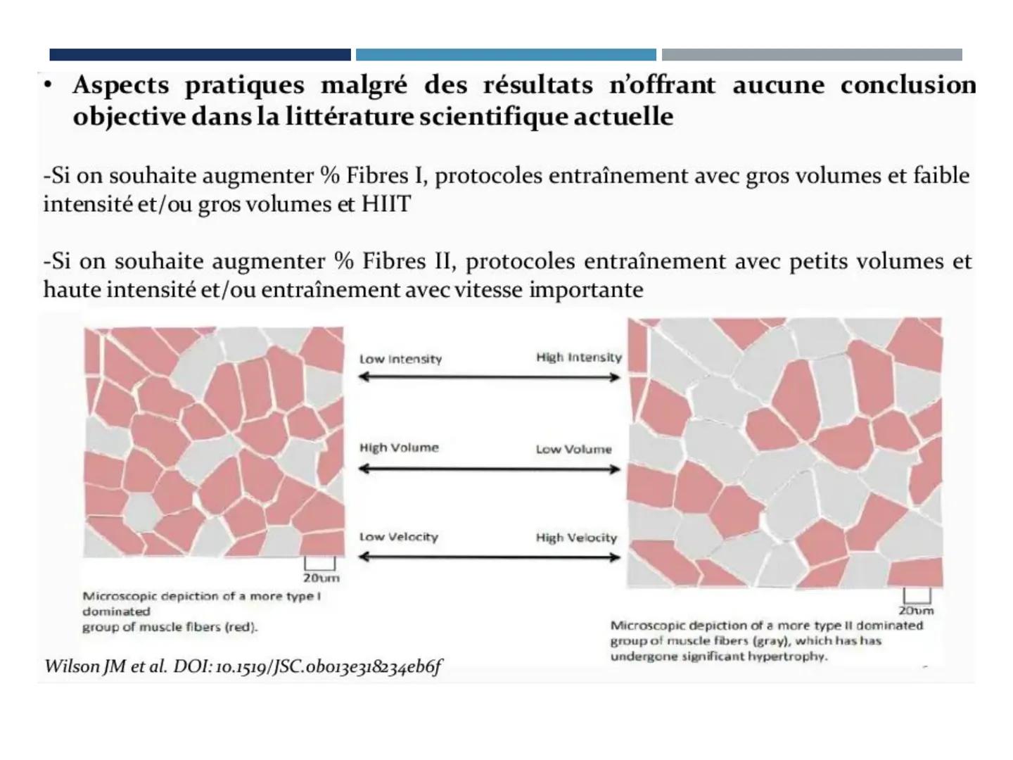 UE 303 APPROCHES DE LA MOTRICITÉ ET COMPORTEMENTS
SENSORIMOTEURS
EC2 NEUROSCIENCES DU CONTRÔLE MOTEUR (C. LANGLET)
DÉTERMINANTS PHYSIOLOGIQU