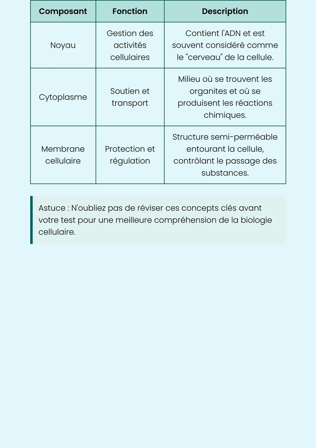 Introduction à la
Biologie Cellulaire
Comprendre les éléments de base des cellules
Les Cellules
Une cellule est l'unité de base de la vie. T