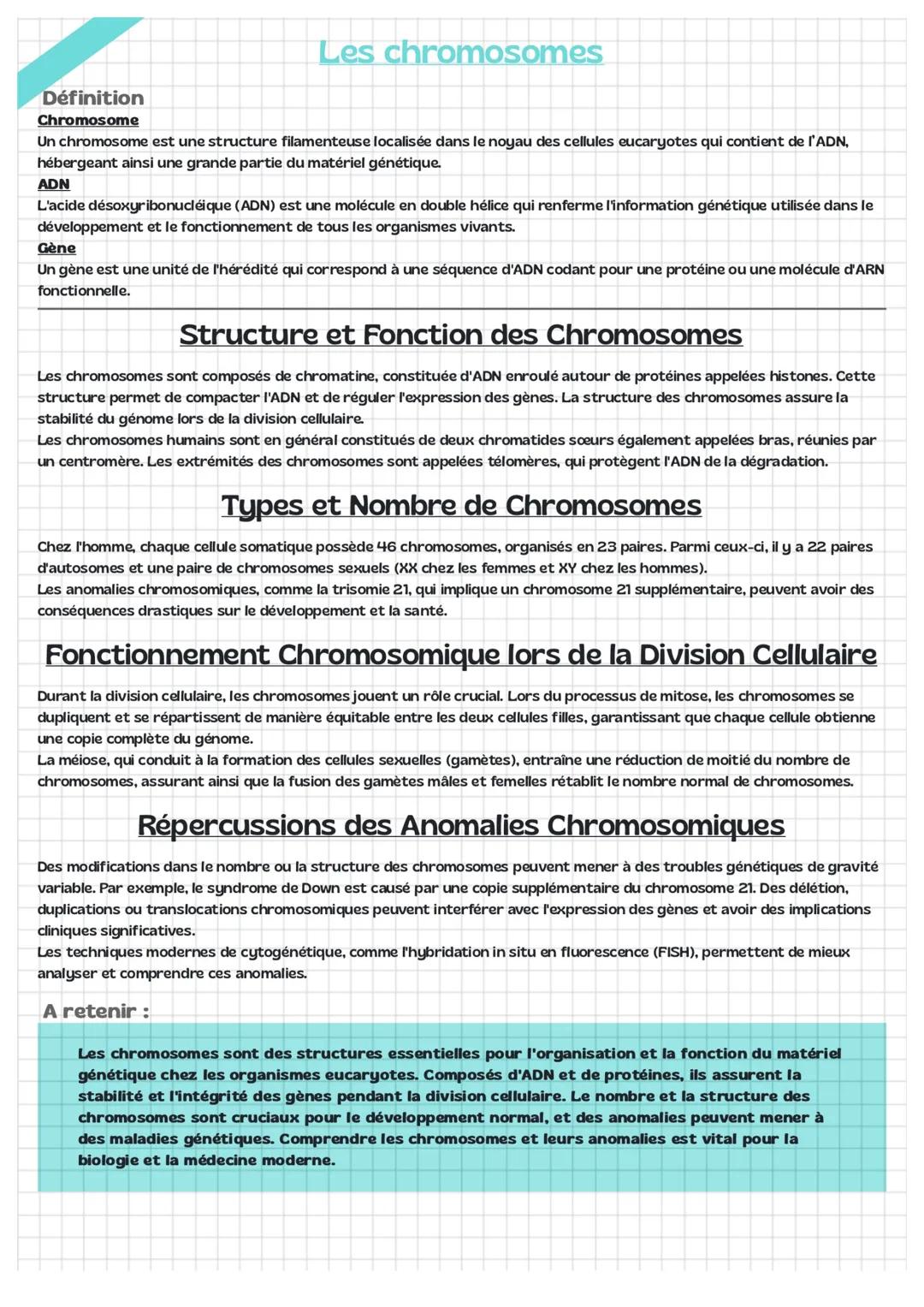 Définition
Les chromosomes
Chromosome
Un chromosome est une structure filamenteuse localisée dans le noyau des cellules eucaryotes qui conti