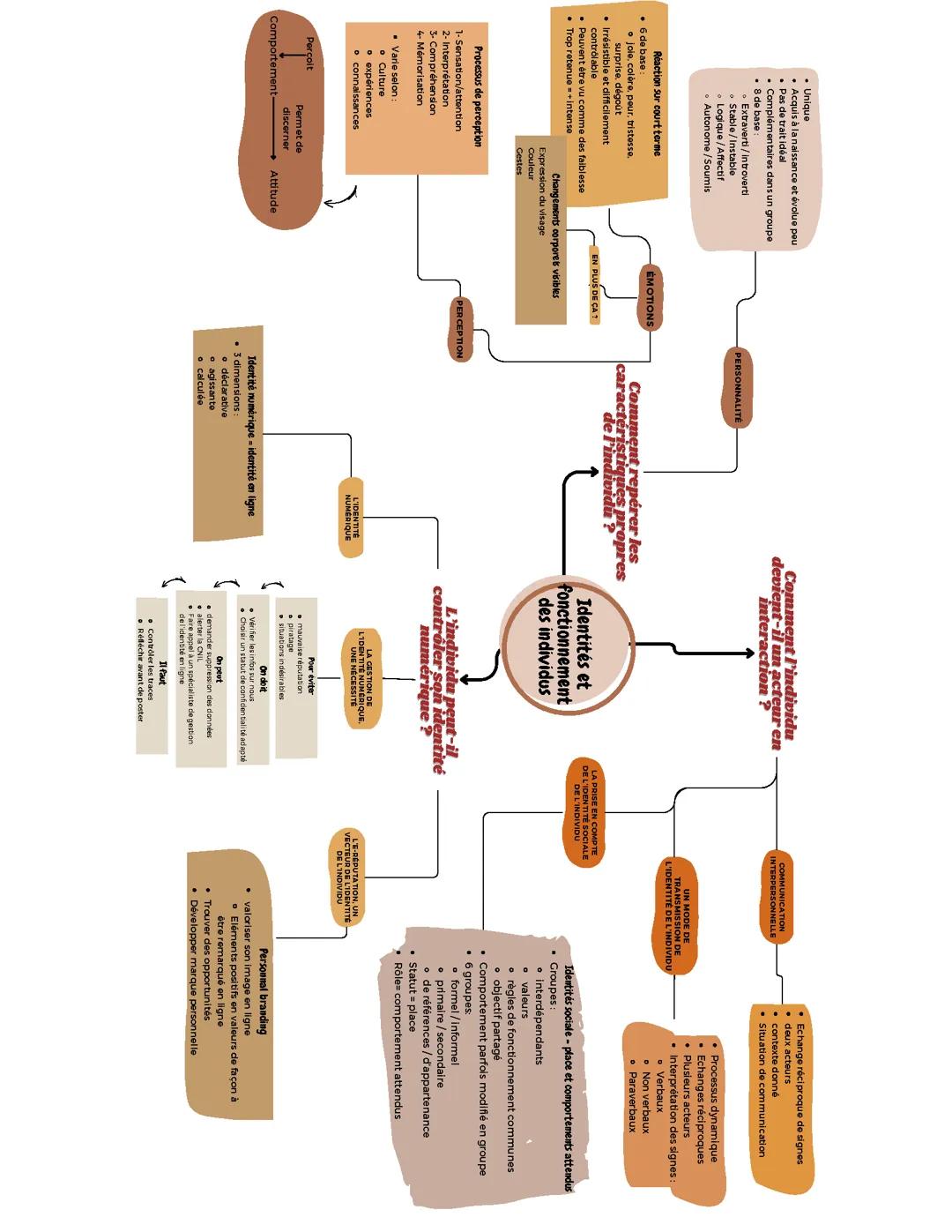Les identités et fonctionnement des individus