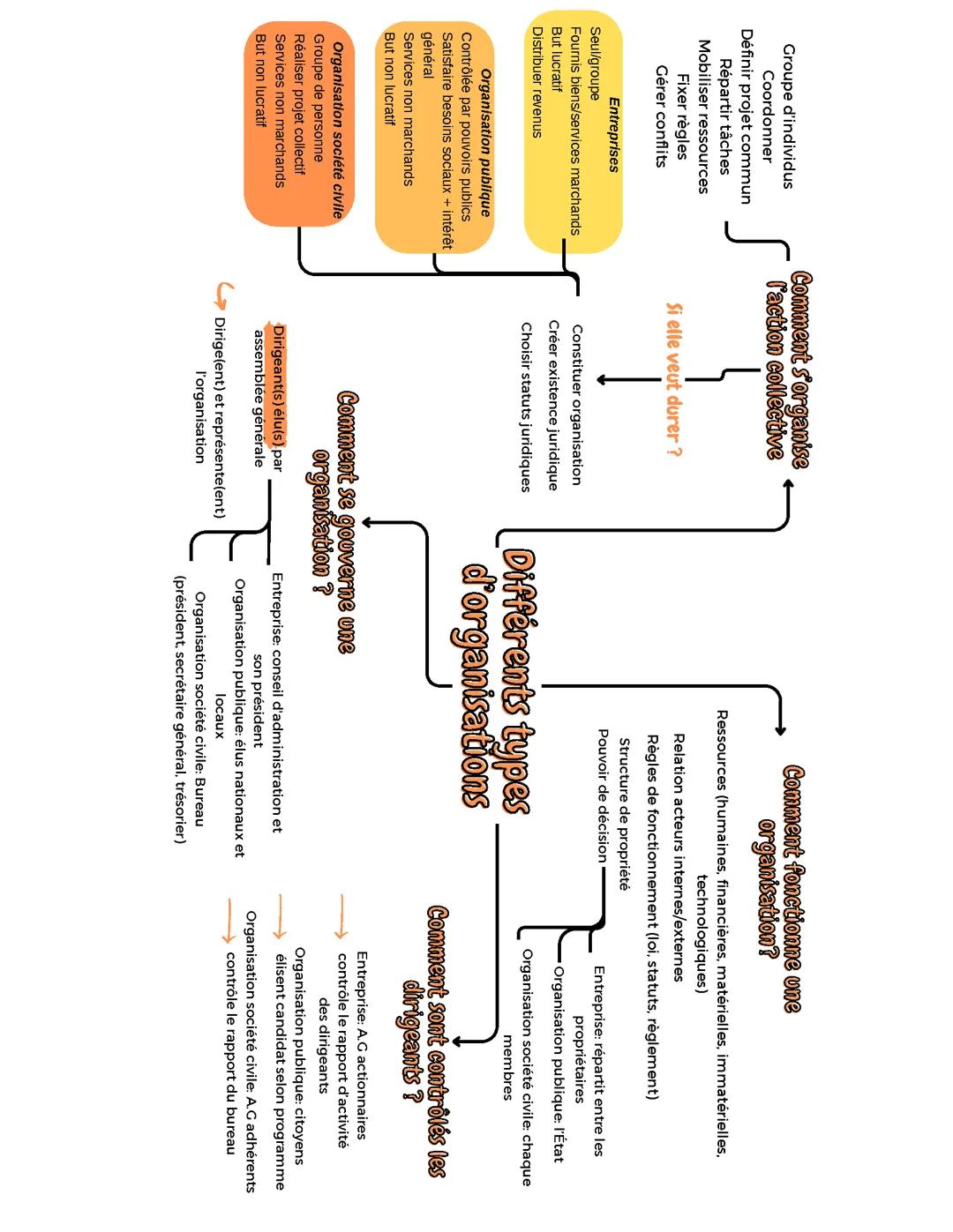 Les différents types d'organisations