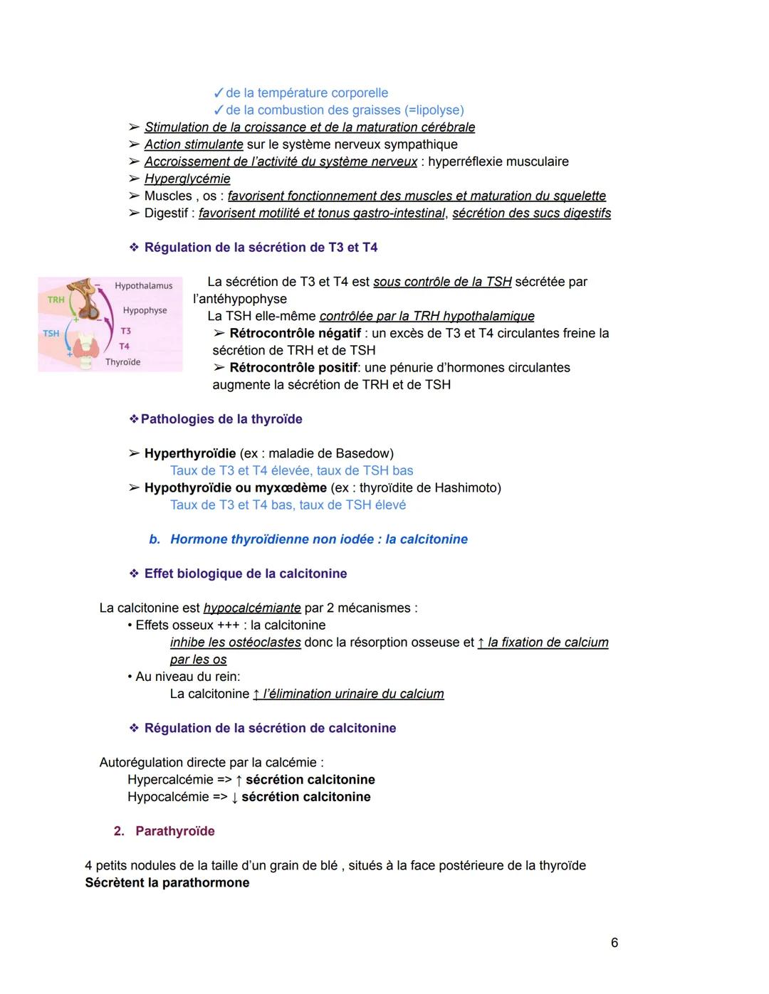 Le système endocrinien/hormonal
I. Notions générales
Glande exocrine glande qui sécrète une substance qui est déversée par un canal
excréteu