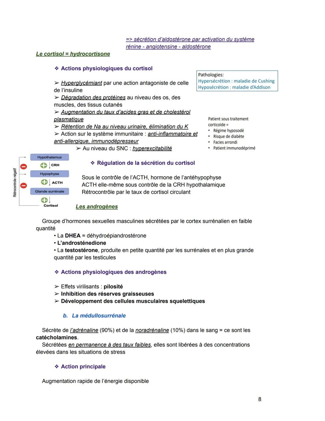 Le système endocrinien/hormonal
I. Notions générales
Glande exocrine glande qui sécrète une substance qui est déversée par un canal
excréteu