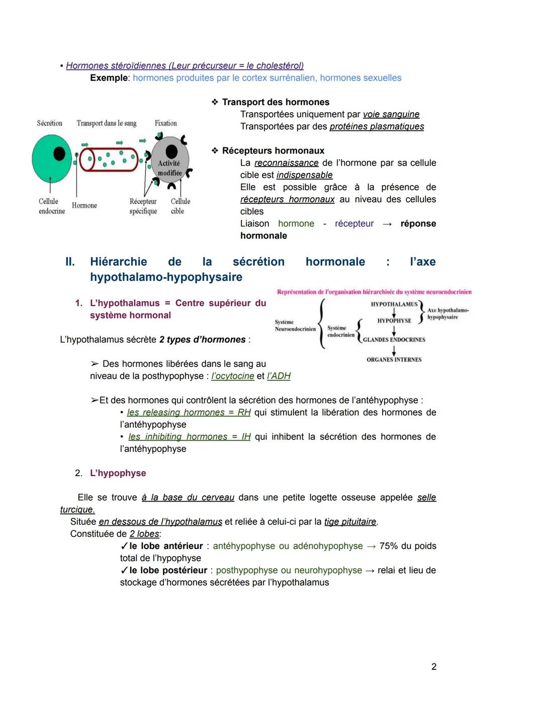 Le système endocrinien/hormonal
I. Notions générales
Glande exocrine glande qui sécrète une substance qui est déversée par un canal
excréteu