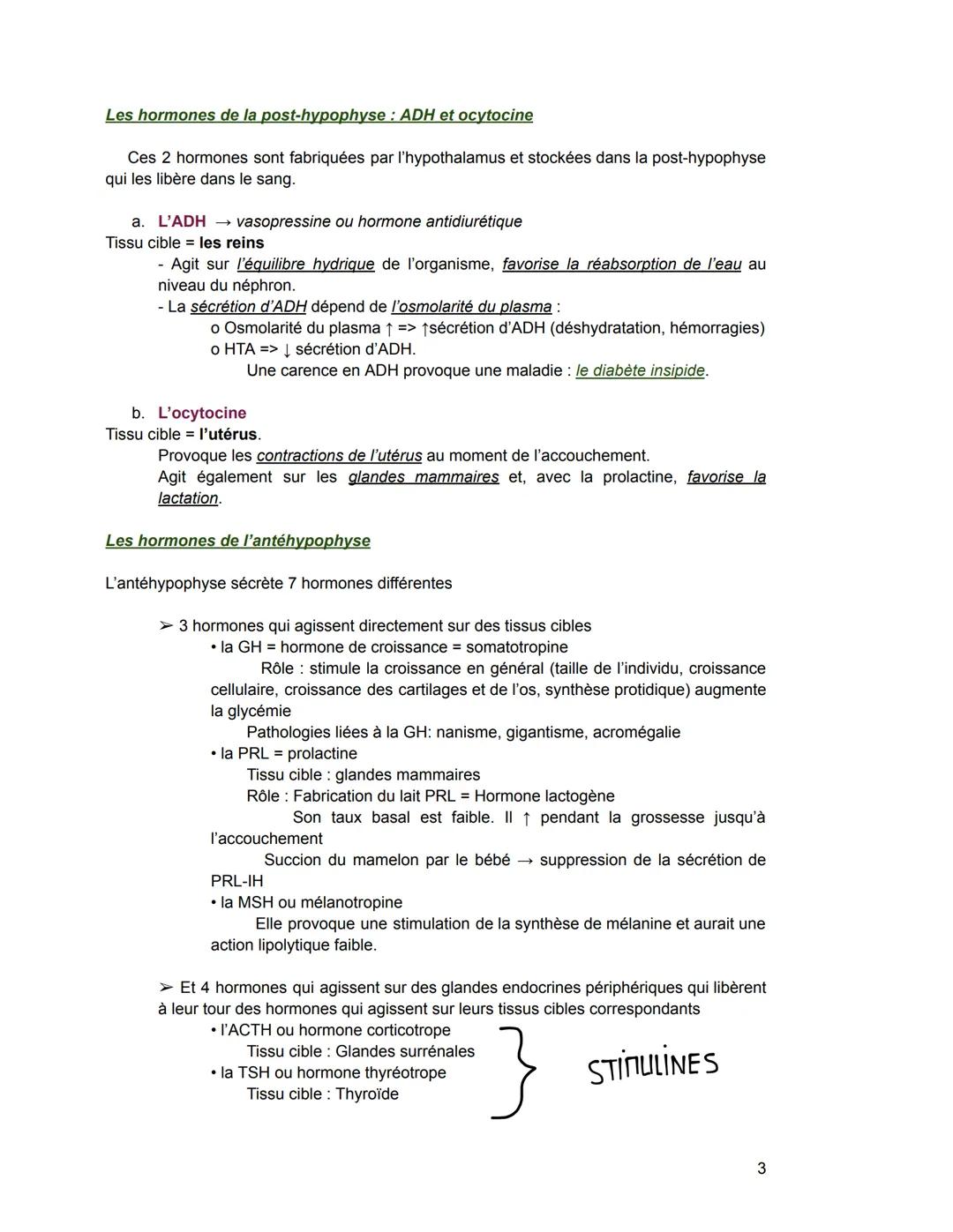Le système endocrinien/hormonal
I. Notions générales
Glande exocrine glande qui sécrète une substance qui est déversée par un canal
excréteu