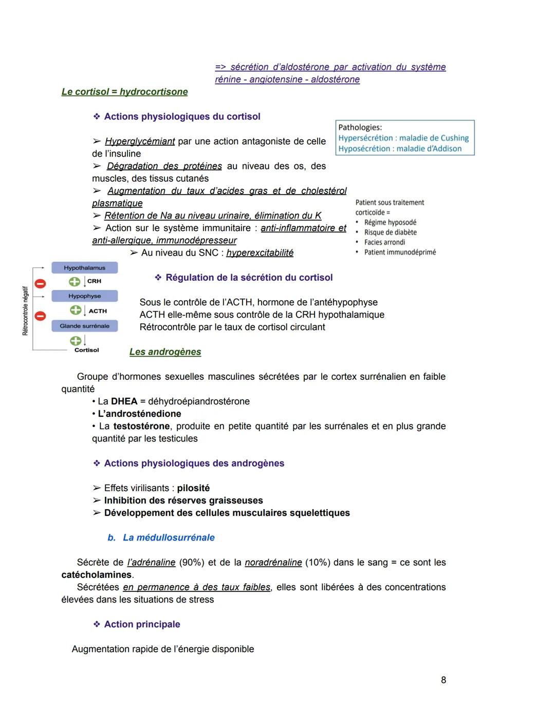 Le système endocrinien/hormonal
I. Notions générales
Glande exocrine glande qui sécrète une substance qui est déversée par un canal
excréteu