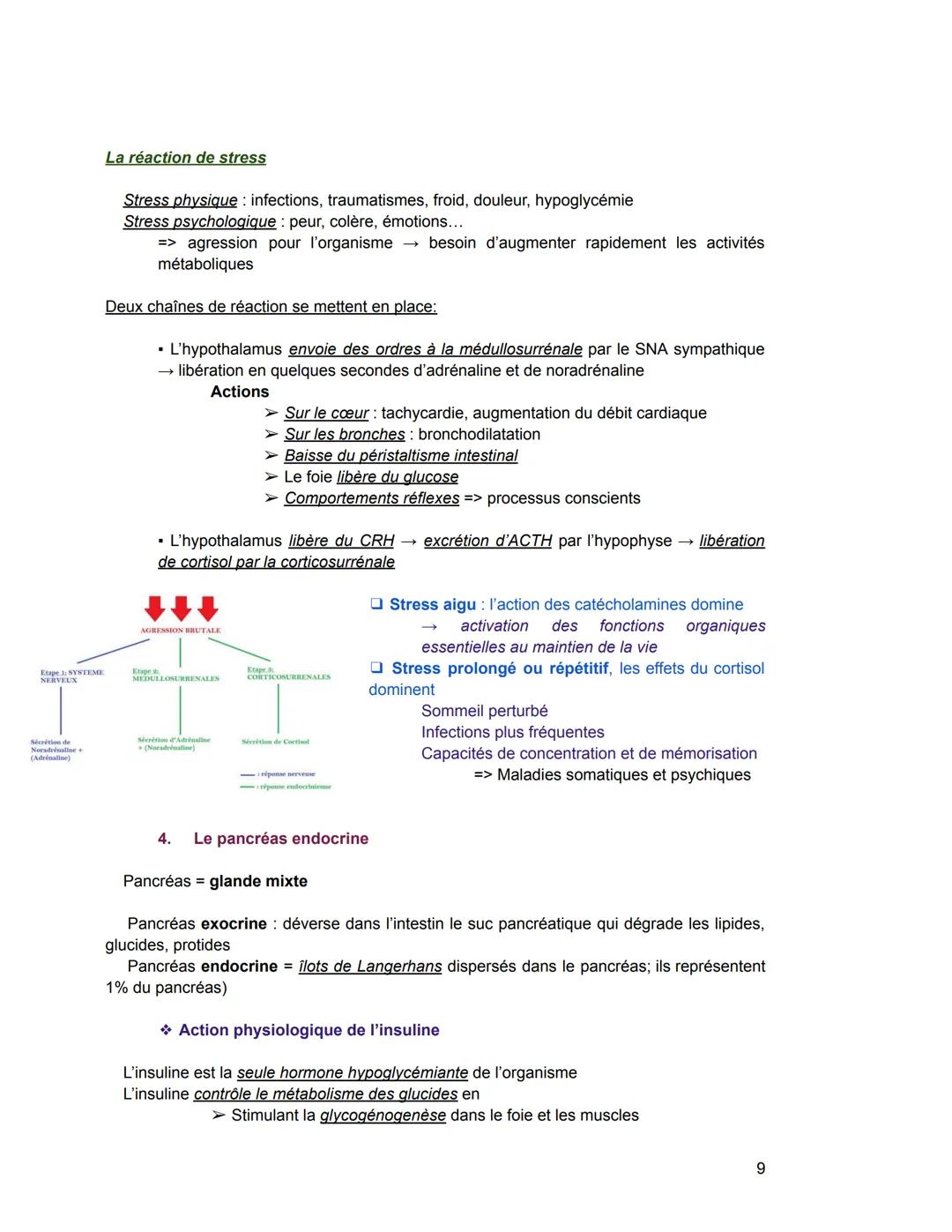 Le système endocrinien/hormonal
I. Notions générales
Glande exocrine glande qui sécrète une substance qui est déversée par un canal
excréteu