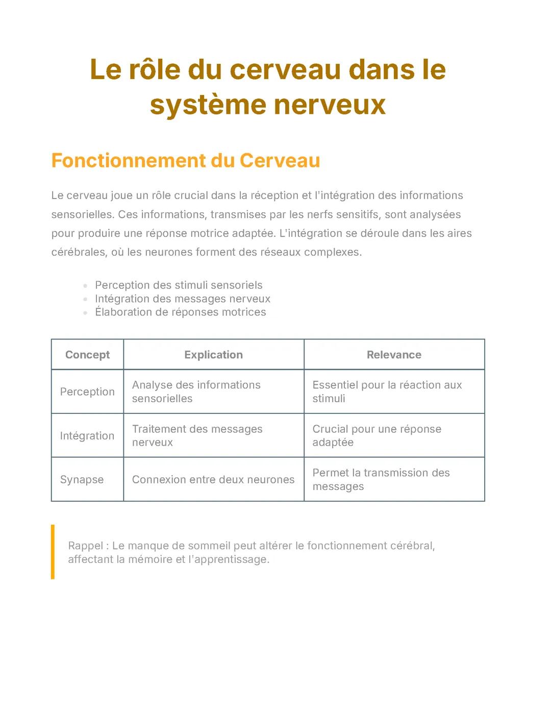 Le rôle du cerveau dans le système nerveux