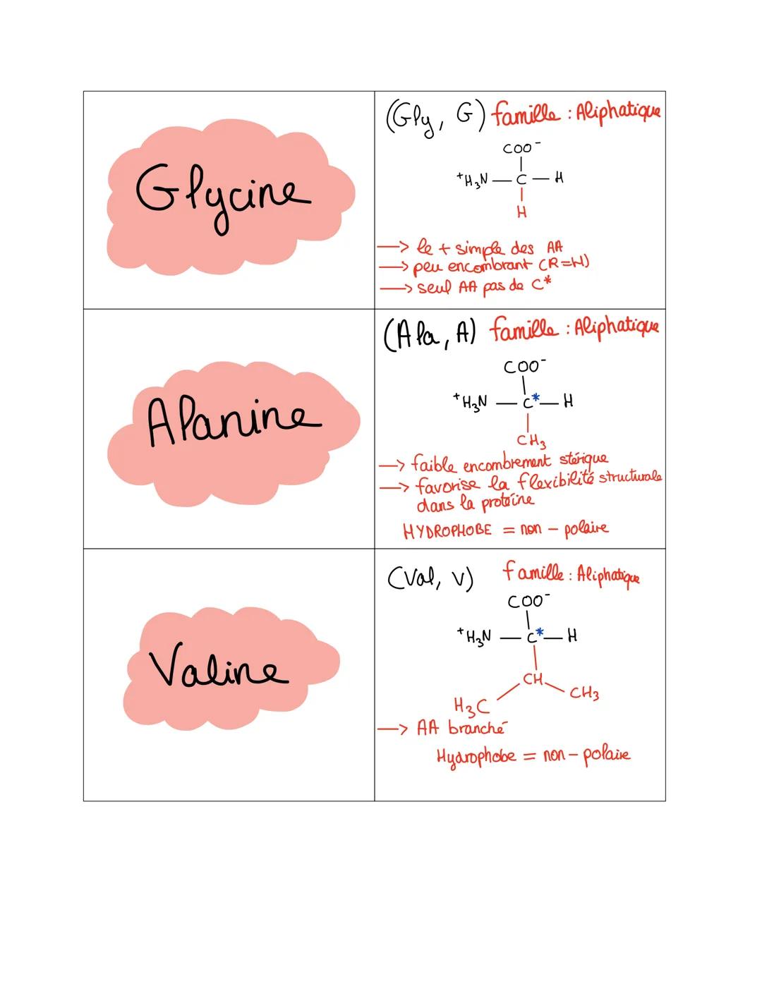 Glycine
Alanine
Valine
(Gly, G) famille: Aliphatique
+H3N-
COO-
H
-> le + simple des AA
peu encombrant (R=H)
• seul AA pas de C*
(Ala, A) fa