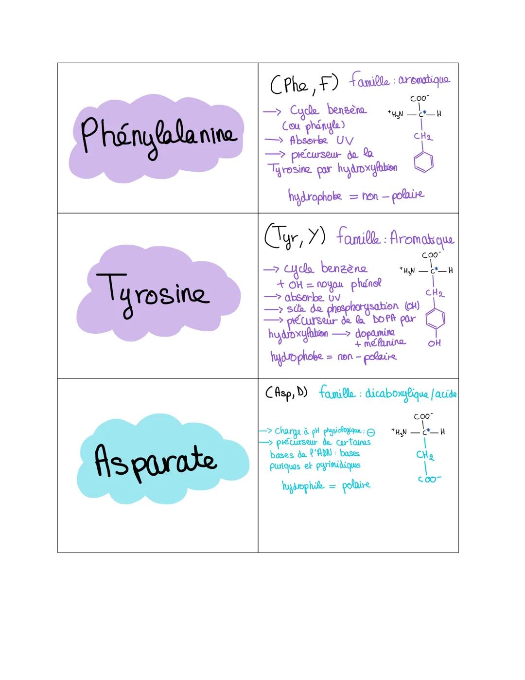 Glycine
Alanine
Valine
(Gly, G) famille: Aliphatique
+H3N-
COO-
H
-> le + simple des AA
peu encombrant (R=H)
• seul AA pas de C*
(Ala, A) fa