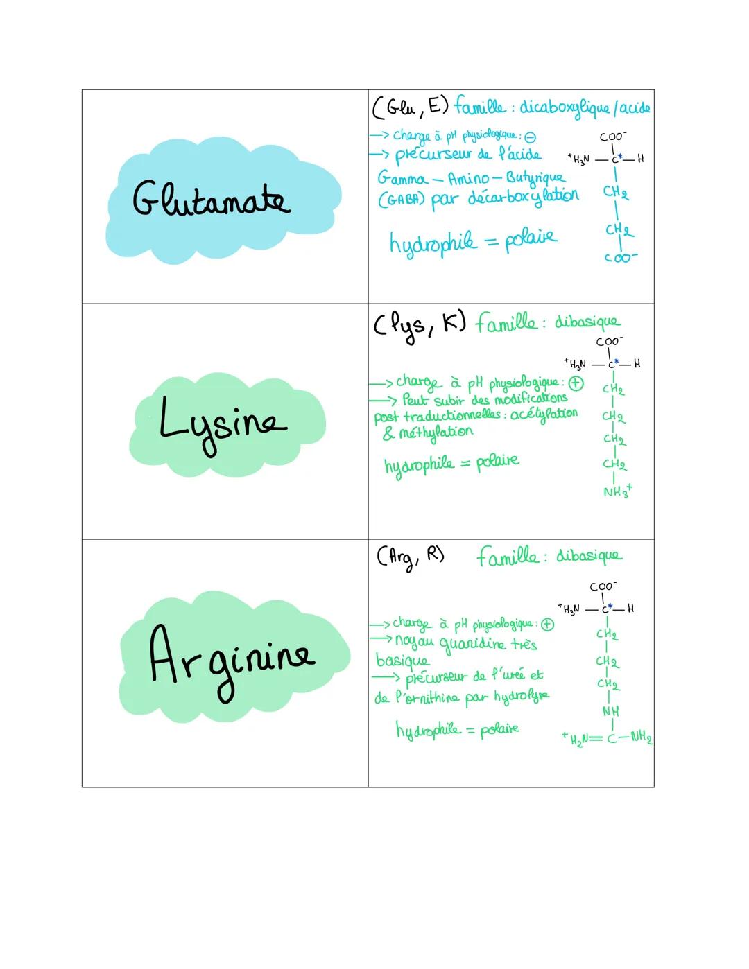 Glycine
Alanine
Valine
(Gly, G) famille: Aliphatique
+H3N-
COO-
H
-> le + simple des AA
peu encombrant (R=H)
• seul AA pas de C*
(Ala, A) fa