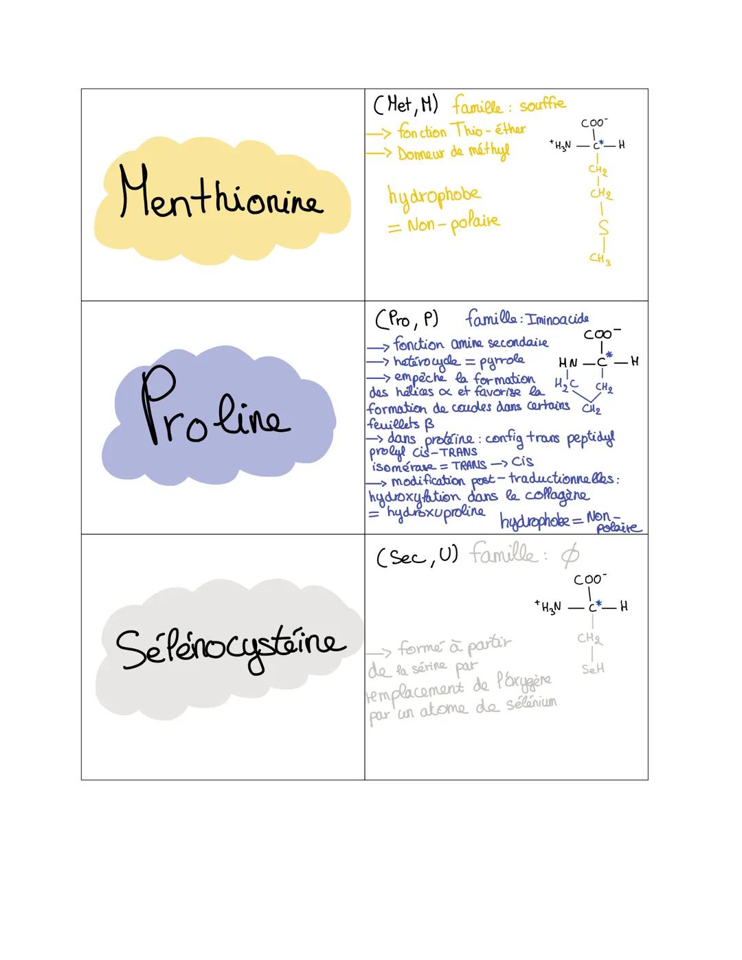 Glycine
Alanine
Valine
(Gly, G) famille: Aliphatique
+H3N-
COO-
H
-> le + simple des AA
peu encombrant (R=H)
• seul AA pas de C*
(Ala, A) fa