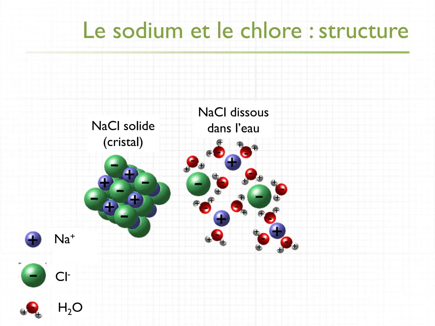 université
PARIS
PARIS 7
DIDEROT
MédiTICE
UFR de Médecine
UE N° 2.1
Les minéraux :
Na, K, Cl, Ca, P, Mg, S,
oligoéléments
Partie I: Les
