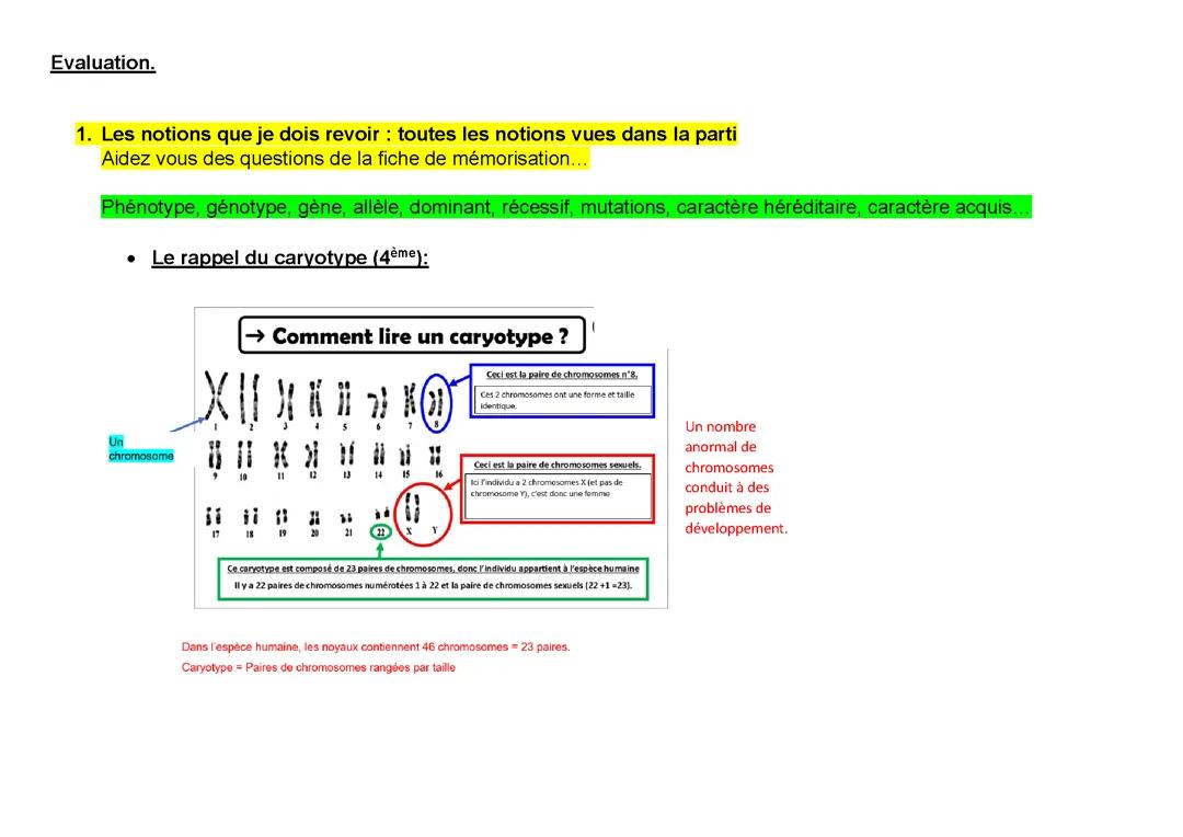 Fiche de révision ( exercices ), ADN, cycle de 3ème, SVT