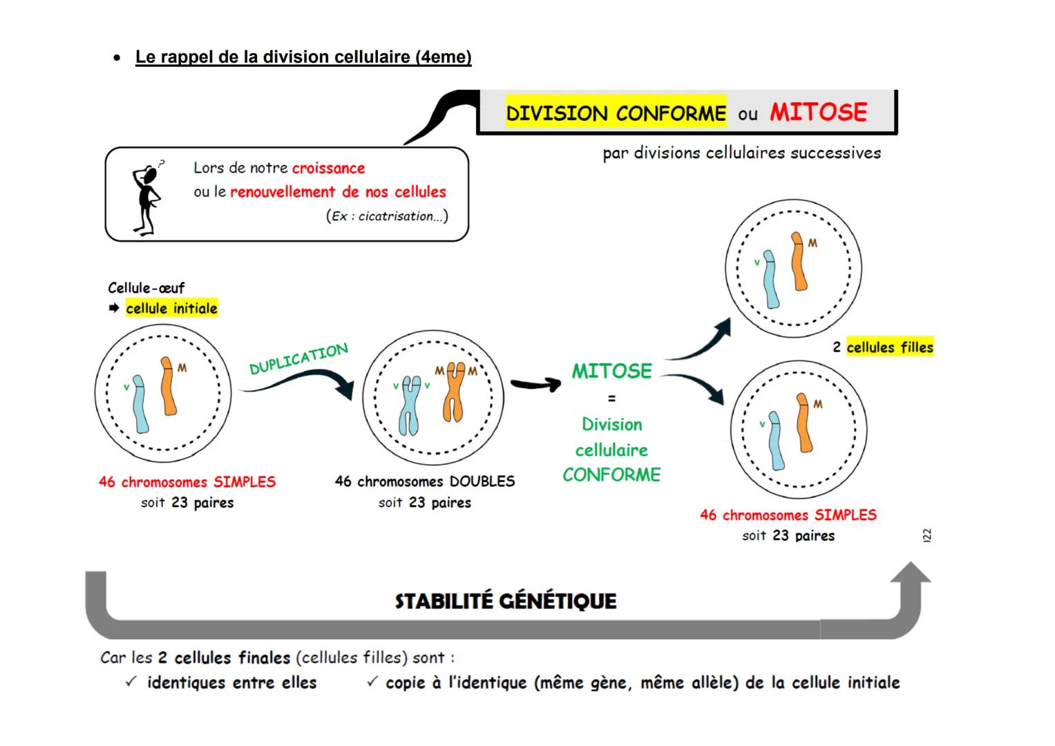 Evaluation.
1. Les notions que je dois revoir toutes les notions vues dans la parti
Aidez vous des questions de la fiche de mémorisation...