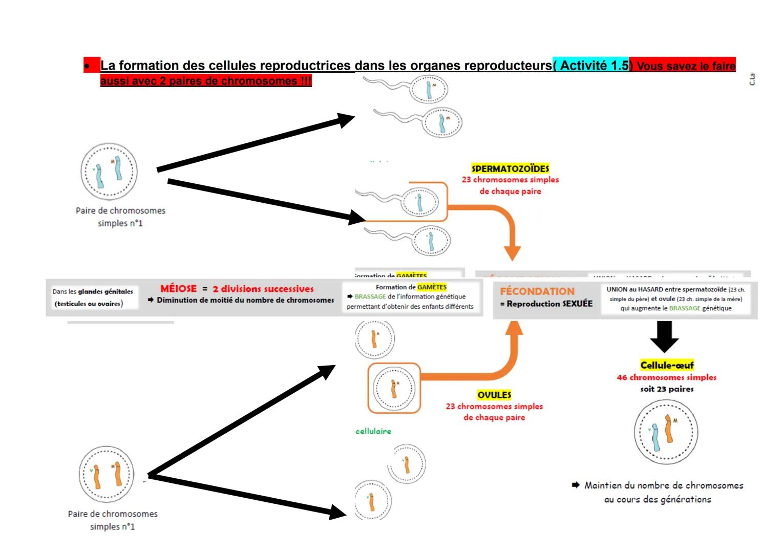 Evaluation.
1. Les notions que je dois revoir toutes les notions vues dans la parti
Aidez vous des questions de la fiche de mémorisation...