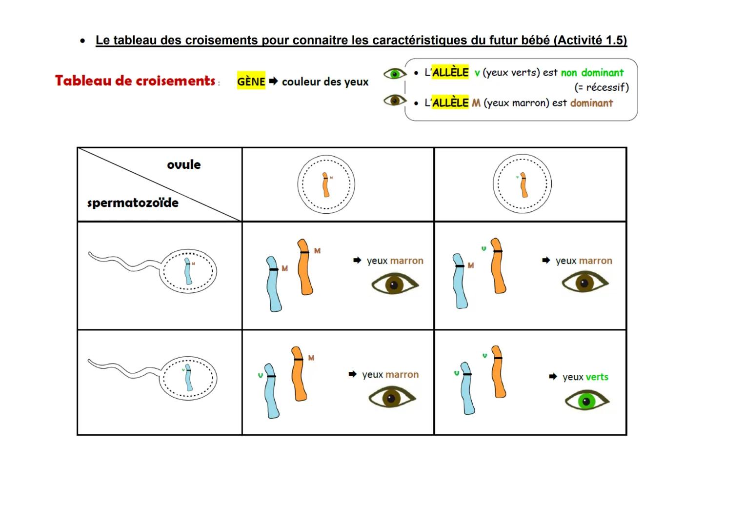 Evaluation.
1. Les notions que je dois revoir toutes les notions vues dans la parti
Aidez vous des questions de la fiche de mémorisation...