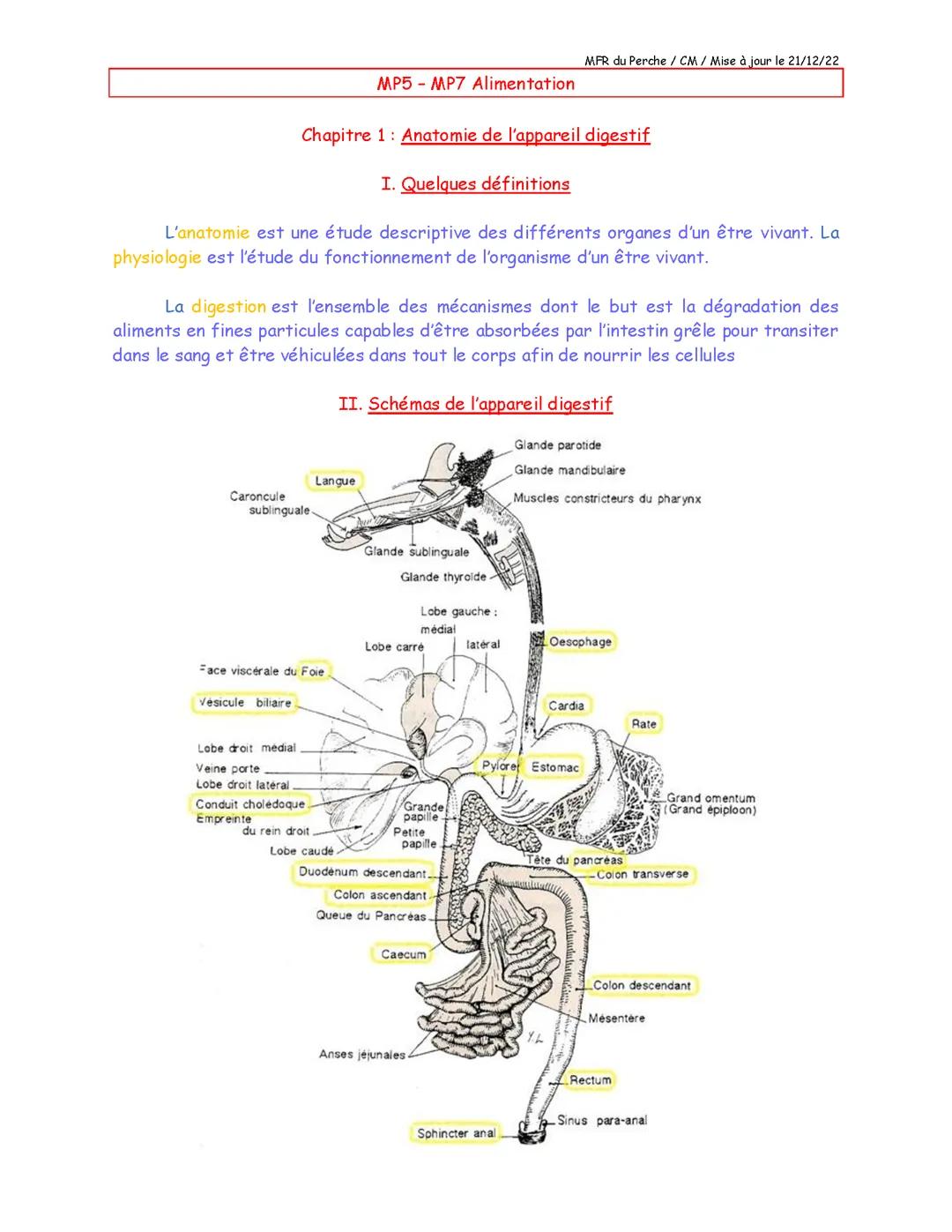 Alimentation du chien