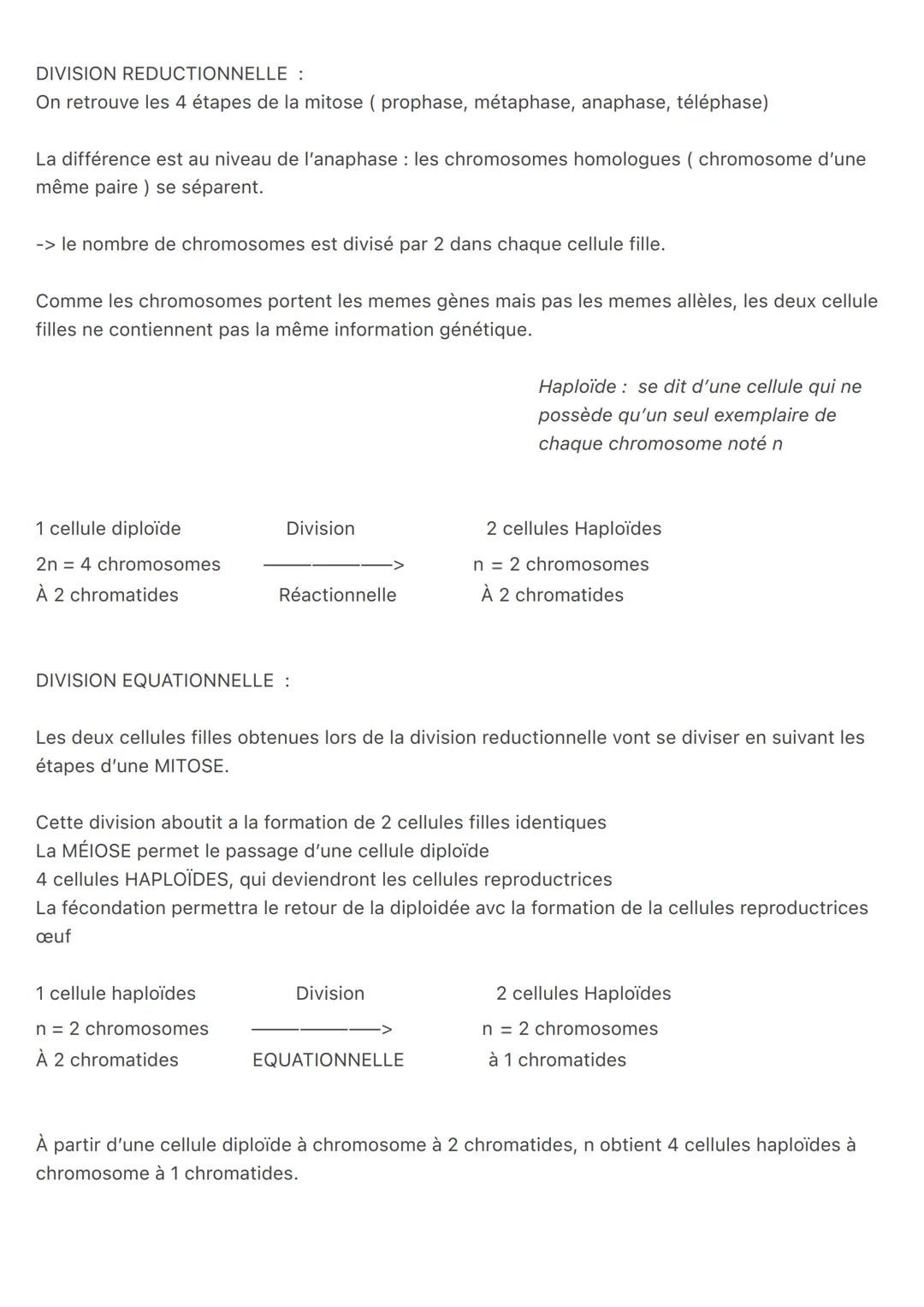 Chapitre 1 : les divisions cellulaires des eucaryotes
Molécule d'ADN -> composé de deux brins constitué de nucléotides
Les bases de chaque n