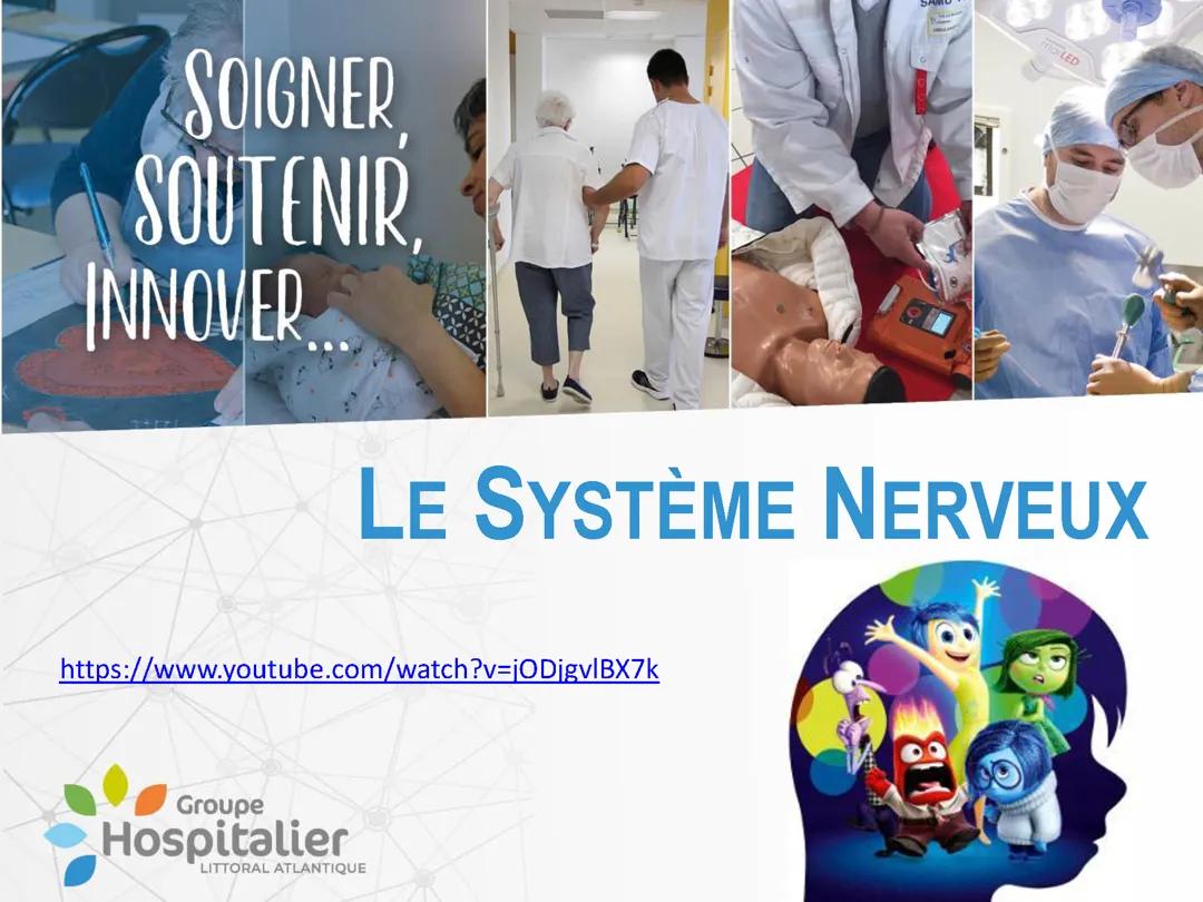 Système nerveux