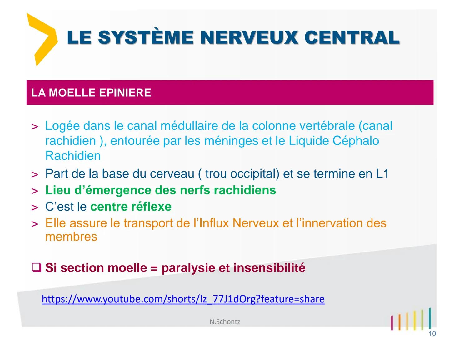 SOIGNER
SOUTENIR,
INNOVER..
marLED
LE SYSTÈME NERVEUX
https://www.youtube.com/watch?v=jODjgvlBX7k
Groupe
Hospitalier
LITTORAL ATLANTIQUE ORG