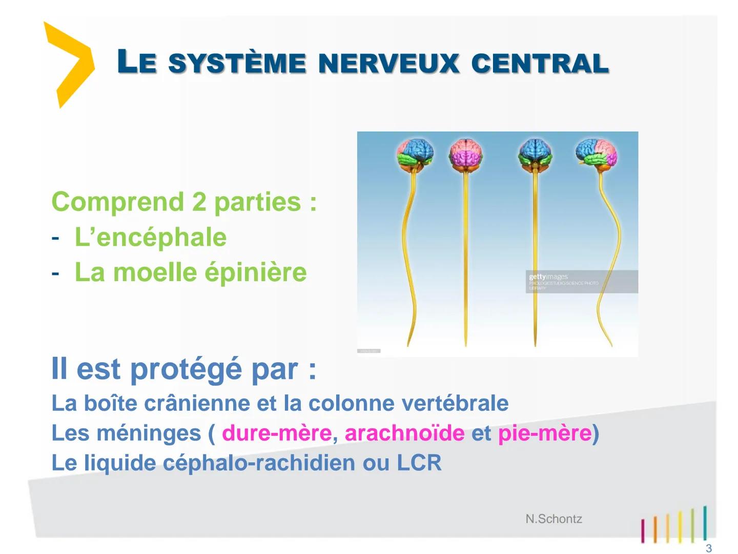SOIGNER
SOUTENIR,
INNOVER..
marLED
LE SYSTÈME NERVEUX
https://www.youtube.com/watch?v=jODjgvlBX7k
Groupe
Hospitalier
LITTORAL ATLANTIQUE ORG