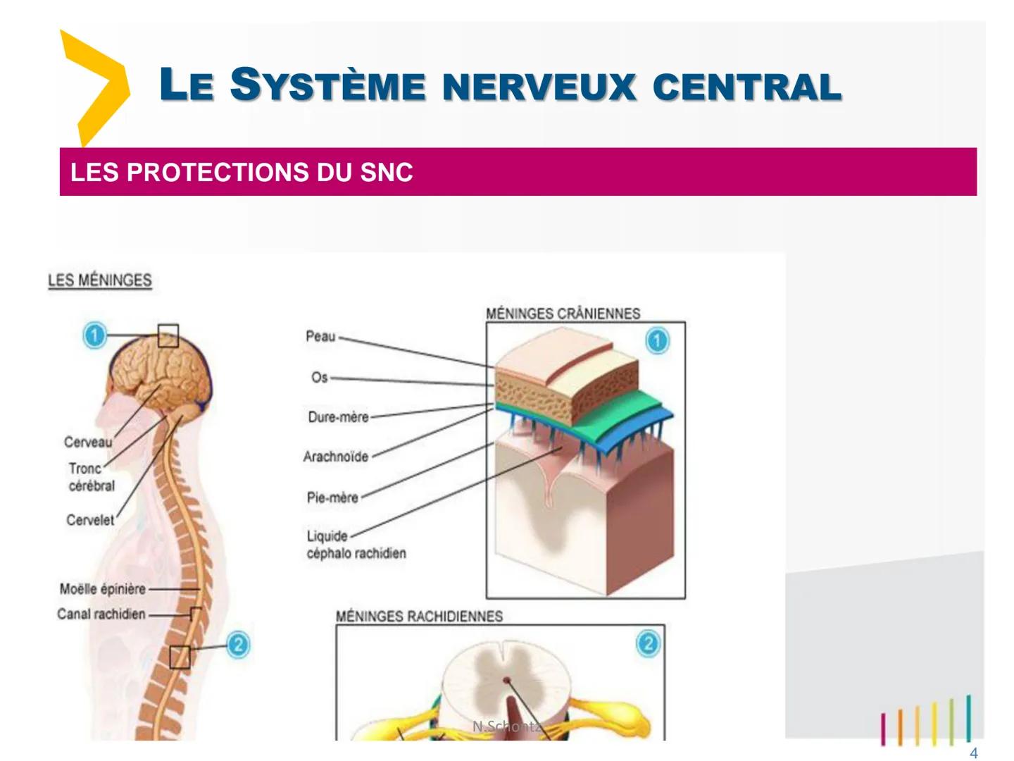 SOIGNER
SOUTENIR,
INNOVER..
marLED
LE SYSTÈME NERVEUX
https://www.youtube.com/watch?v=jODjgvlBX7k
Groupe
Hospitalier
LITTORAL ATLANTIQUE ORG