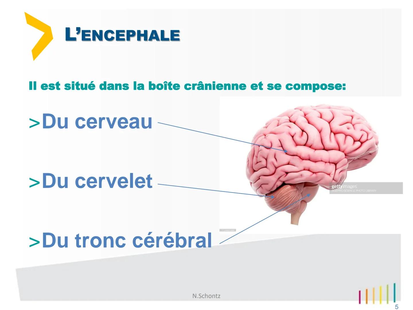 SOIGNER
SOUTENIR,
INNOVER..
marLED
LE SYSTÈME NERVEUX
https://www.youtube.com/watch?v=jODjgvlBX7k
Groupe
Hospitalier
LITTORAL ATLANTIQUE ORG