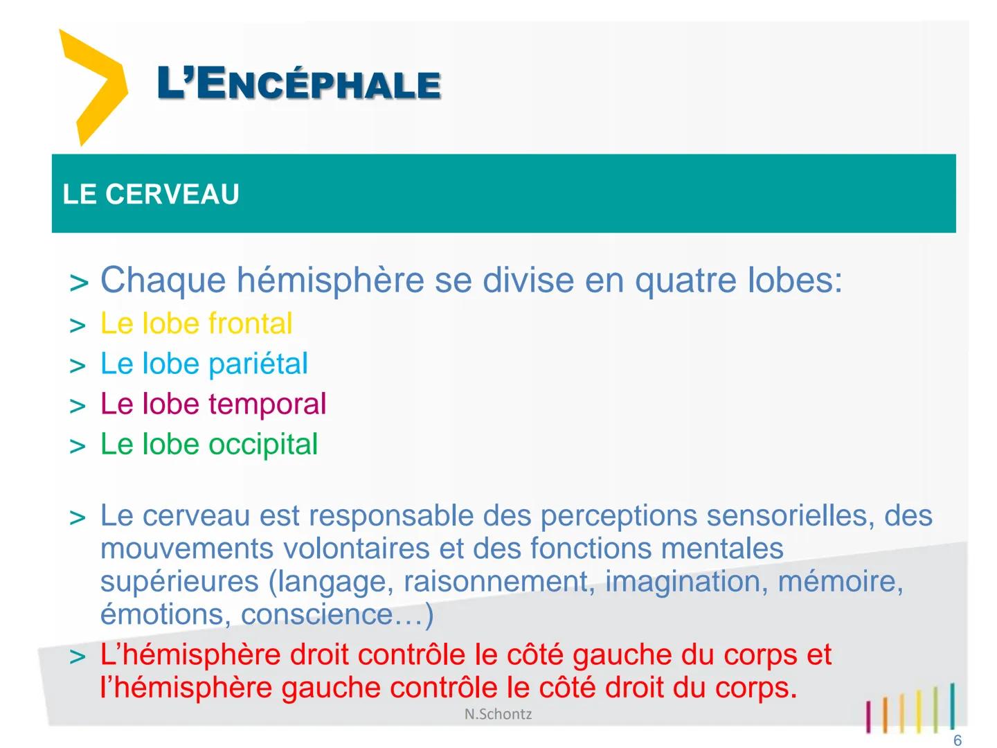 SOIGNER
SOUTENIR,
INNOVER..
marLED
LE SYSTÈME NERVEUX
https://www.youtube.com/watch?v=jODjgvlBX7k
Groupe
Hospitalier
LITTORAL ATLANTIQUE ORG