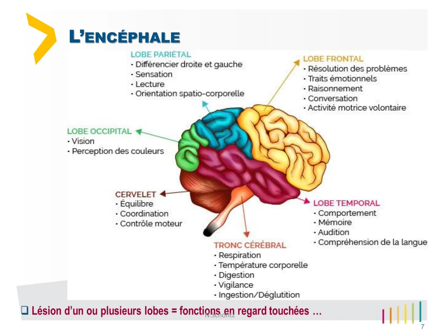 SOIGNER
SOUTENIR,
INNOVER..
marLED
LE SYSTÈME NERVEUX
https://www.youtube.com/watch?v=jODjgvlBX7k
Groupe
Hospitalier
LITTORAL ATLANTIQUE ORG