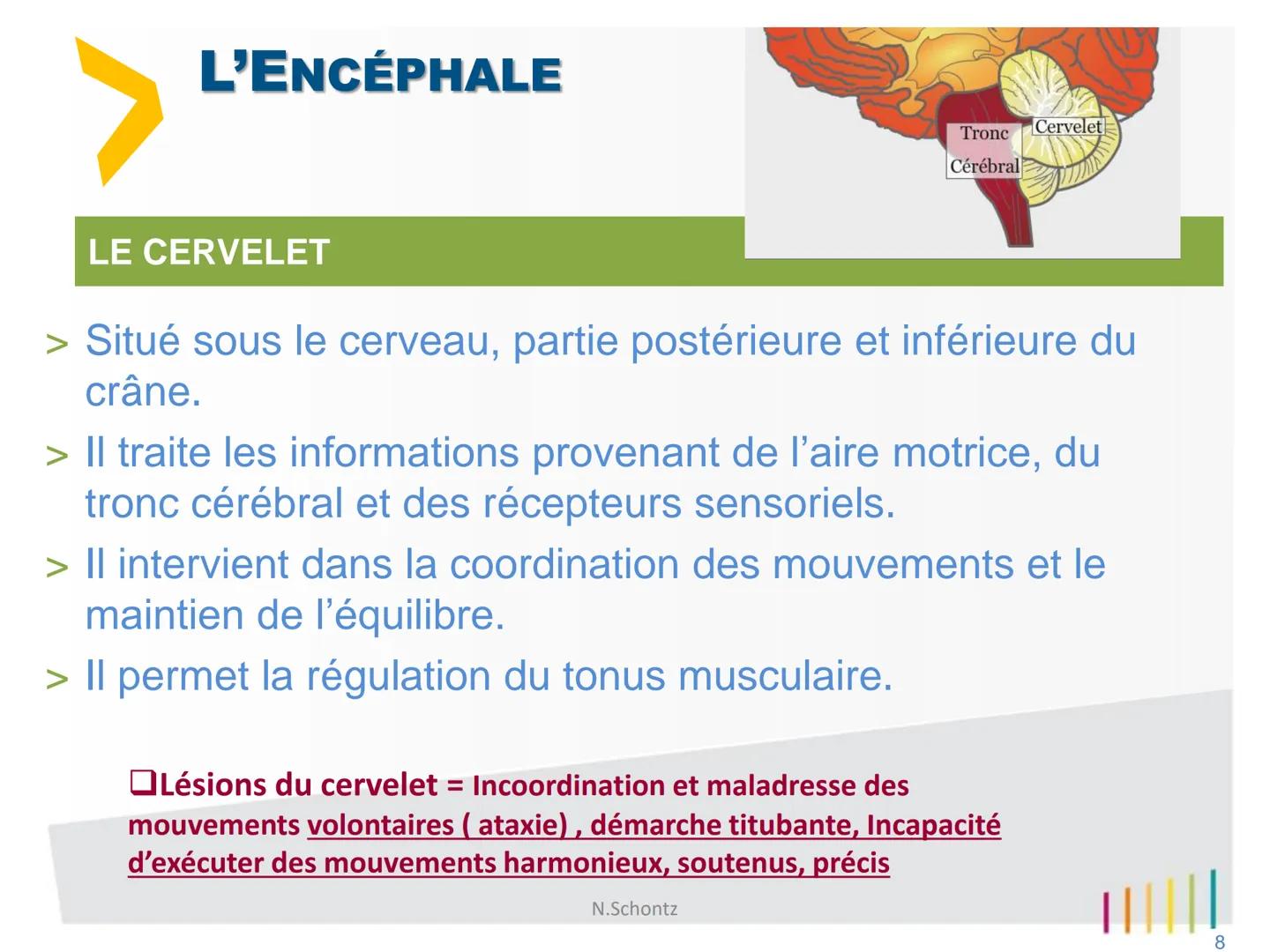 SOIGNER
SOUTENIR,
INNOVER..
marLED
LE SYSTÈME NERVEUX
https://www.youtube.com/watch?v=jODjgvlBX7k
Groupe
Hospitalier
LITTORAL ATLANTIQUE ORG