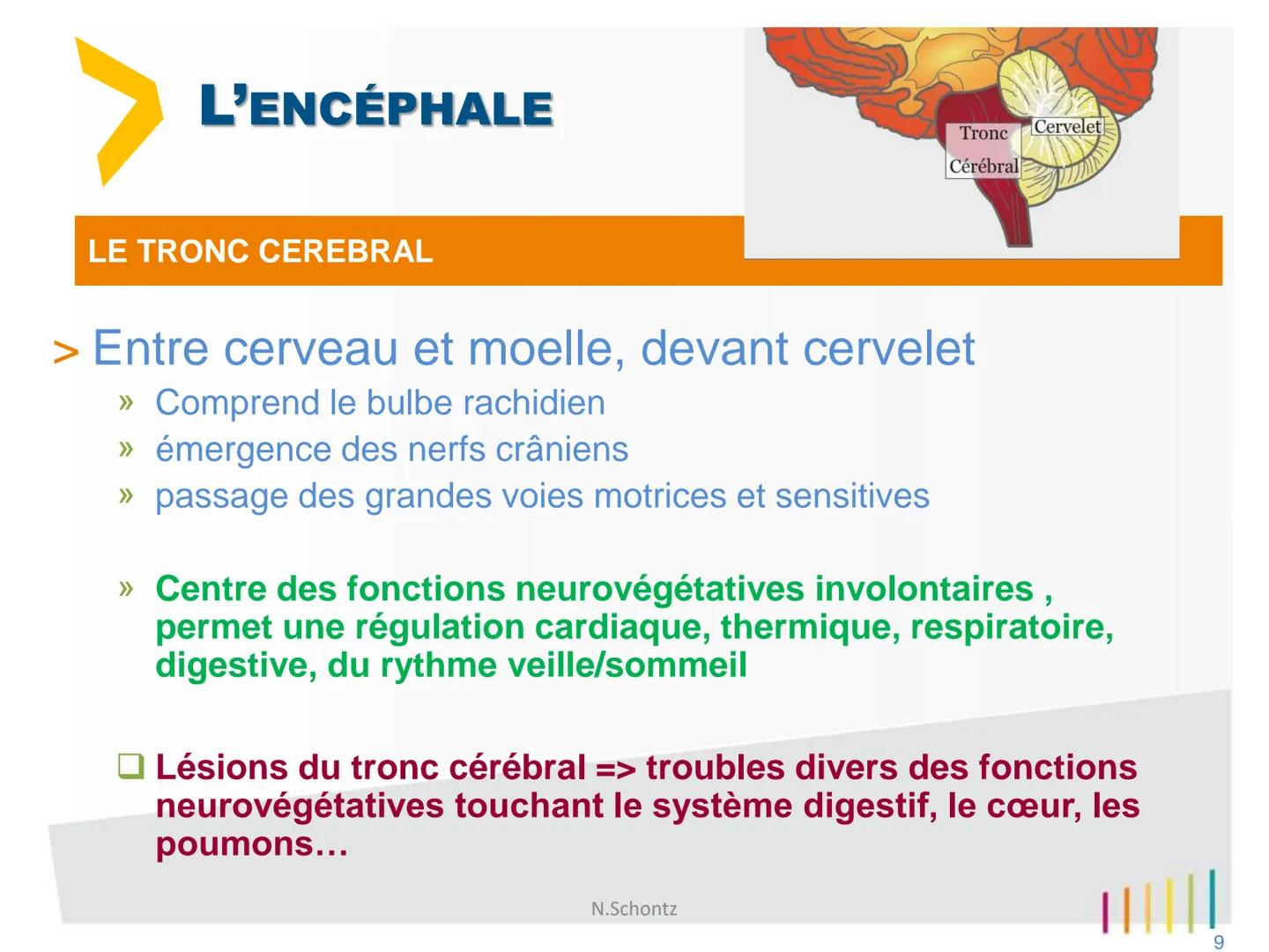 SOIGNER
SOUTENIR,
INNOVER..
marLED
LE SYSTÈME NERVEUX
https://www.youtube.com/watch?v=jODjgvlBX7k
Groupe
Hospitalier
LITTORAL ATLANTIQUE ORG