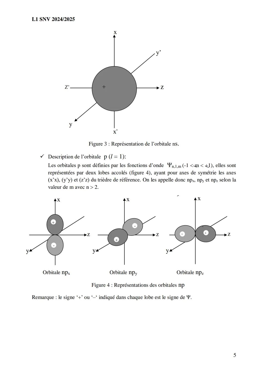 L1 SNV 2024/2025
• Des nucléides sont dits isotopes d’un élément s’ils possèdent le même nombre de
protons mais pas le même nombre de nuclé