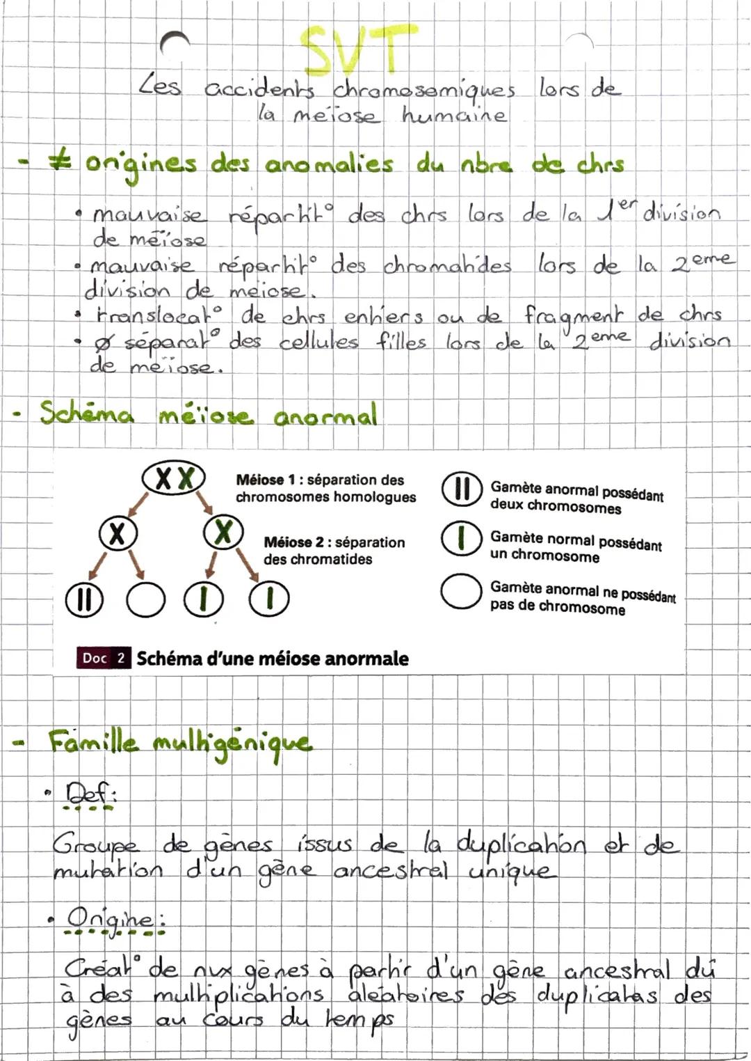 Les accidents chromosomiques lors de la méiose humaine
