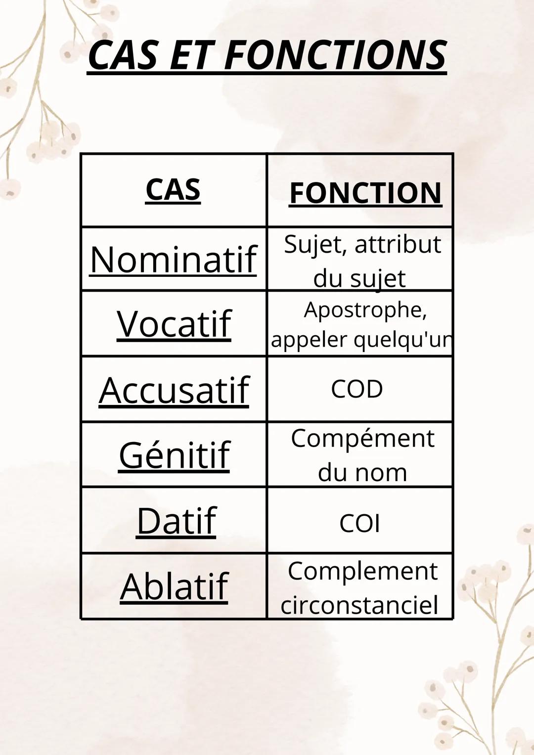 # CAS ET FONCTIONS
| CAS | FONCTION |
|---|---| 
| Nominatif | Sujet, attribut du sujet |
| Vocatif | Apostrophe, appeler quelqu'un |
| Acc